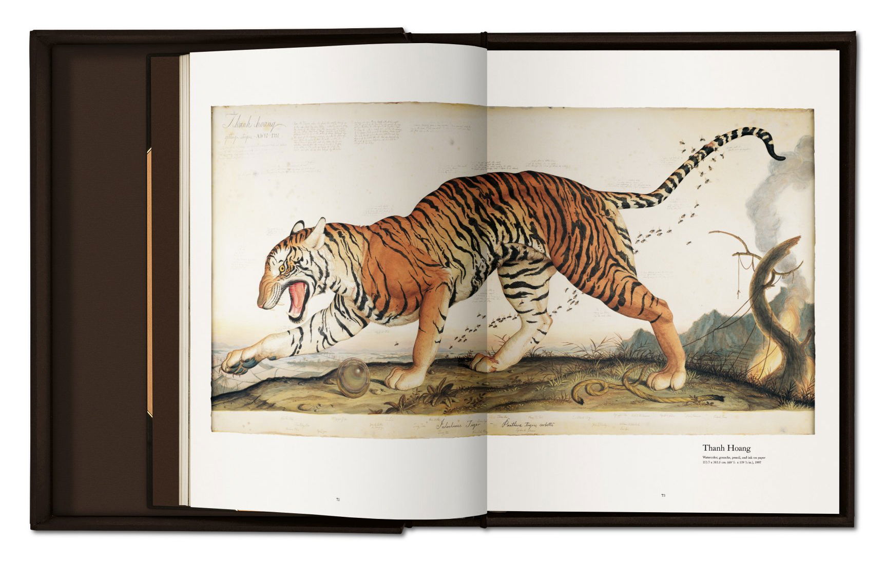 Walton Ford. Pancha Tantra