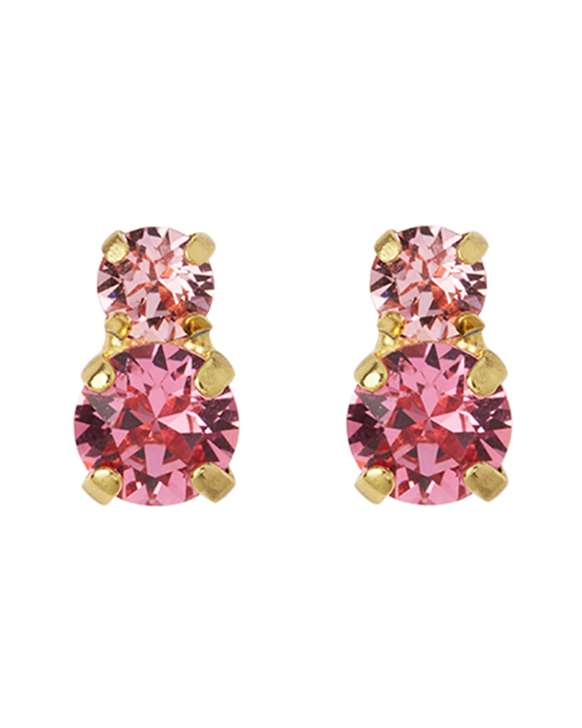 Leah Earrings Rose Combo