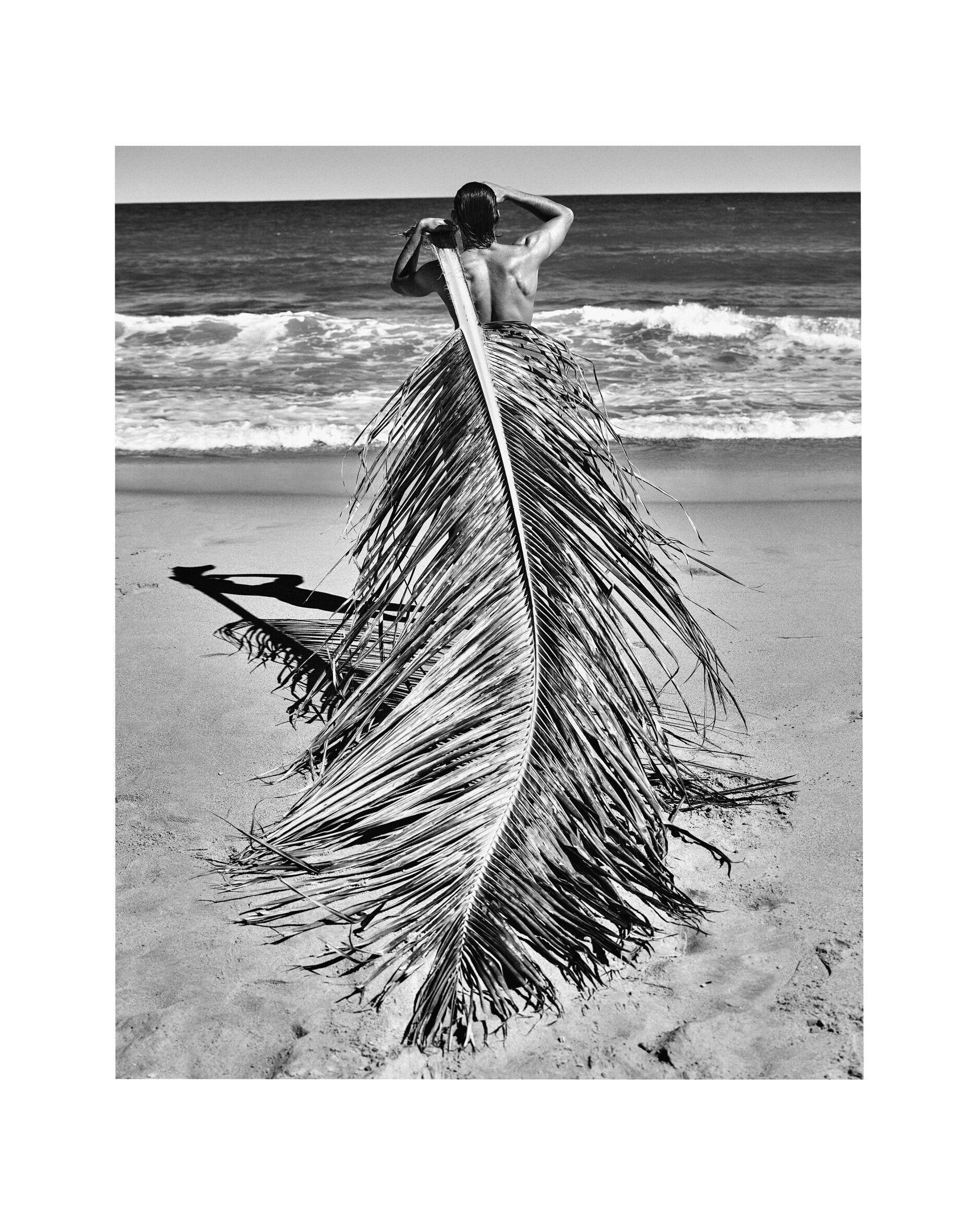 Print Philippe Vogelenzang - Salvador