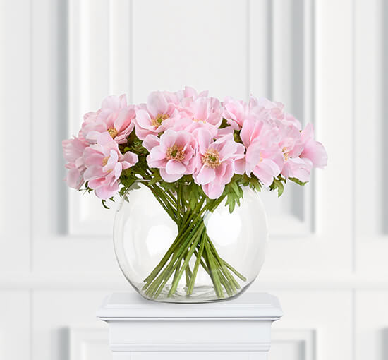 Light Pink - Anemone Cut Flower Blue