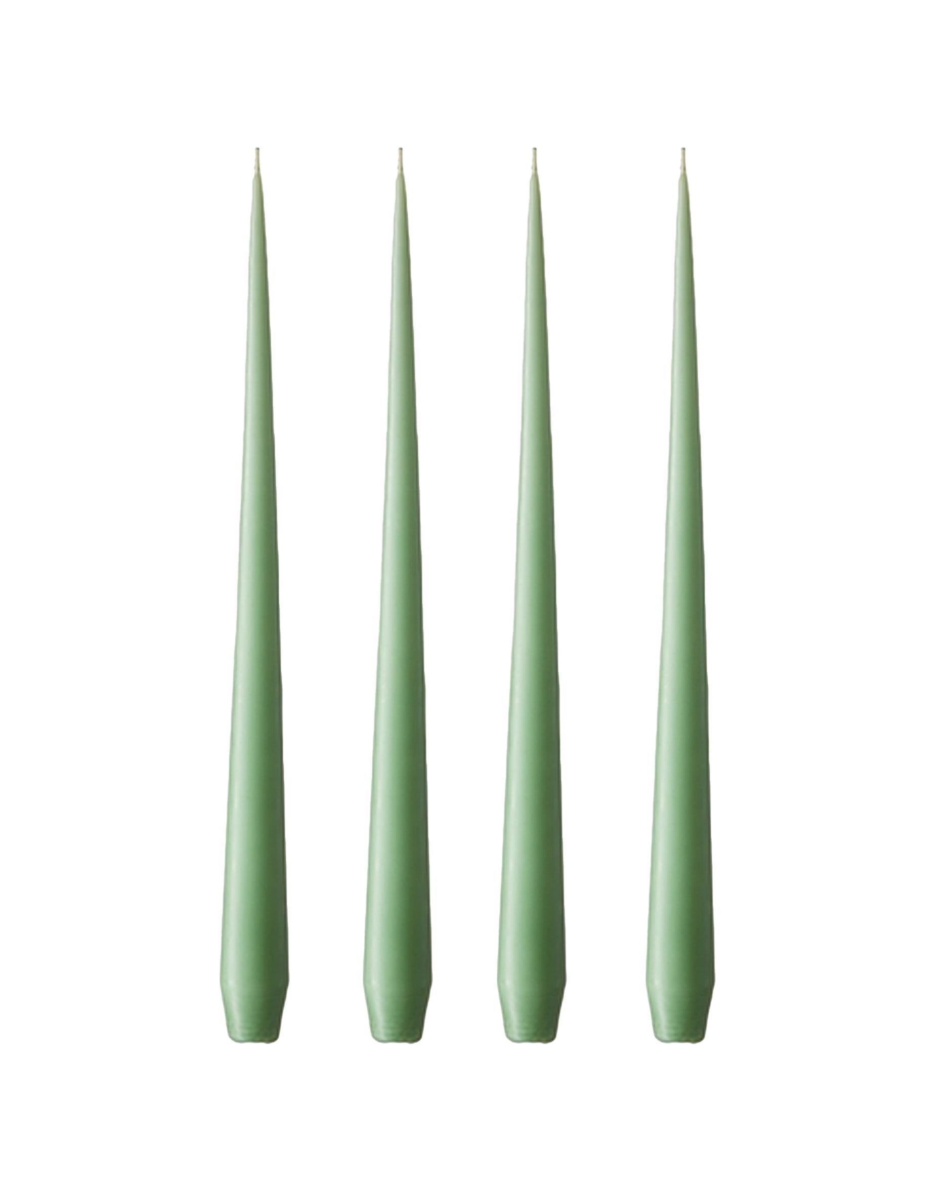 Kroonkaarsen eucalyptus 4-pack
