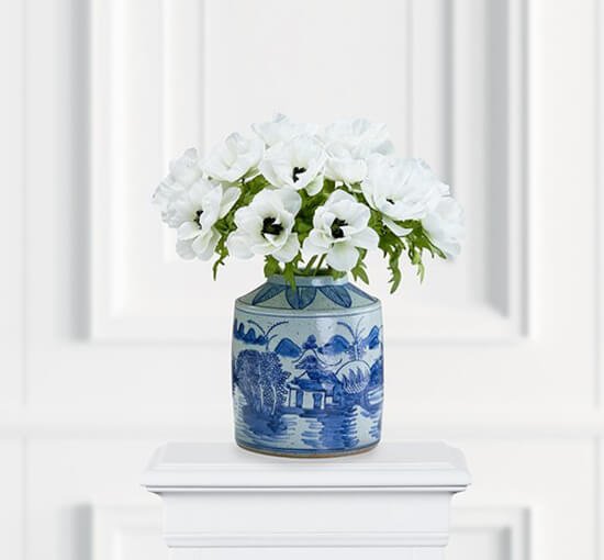 Hvid - Anemone – afskåret blomst i blå