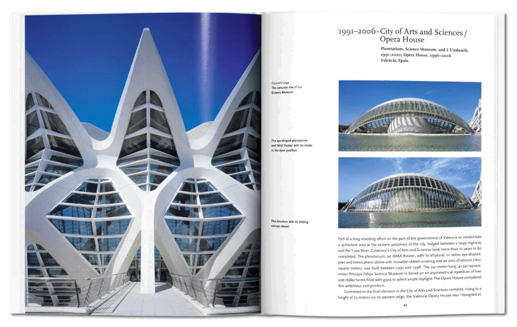 Calatrava Basic Art Series Newport