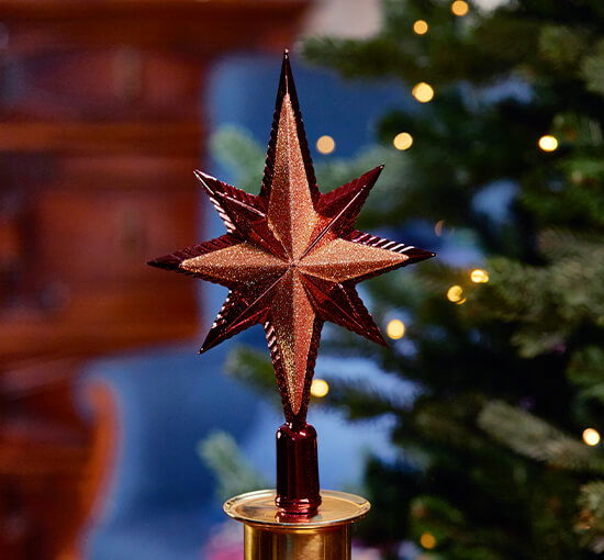 Red - Marguerite Tree Topper Star Red