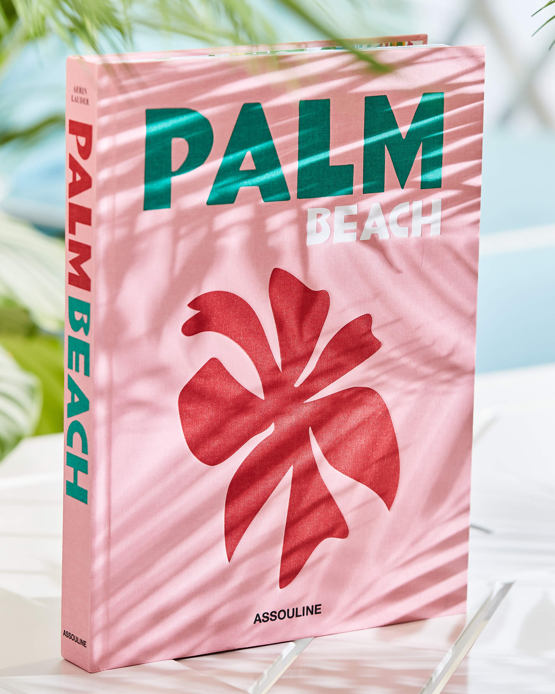 Alternativ bild 1 för New Mags - The Travel Series - Bok - Palm Beach - Aerin Lauder