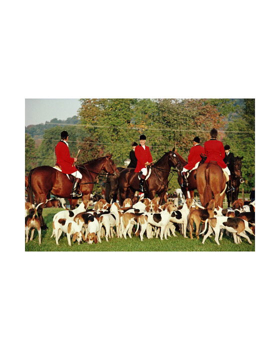 Millbrook Hunt