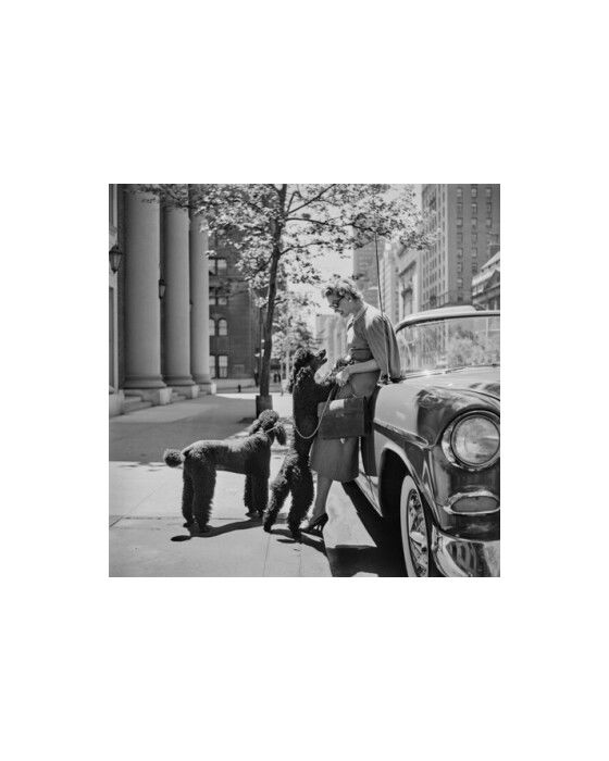 Inga Lindgren And Poodles