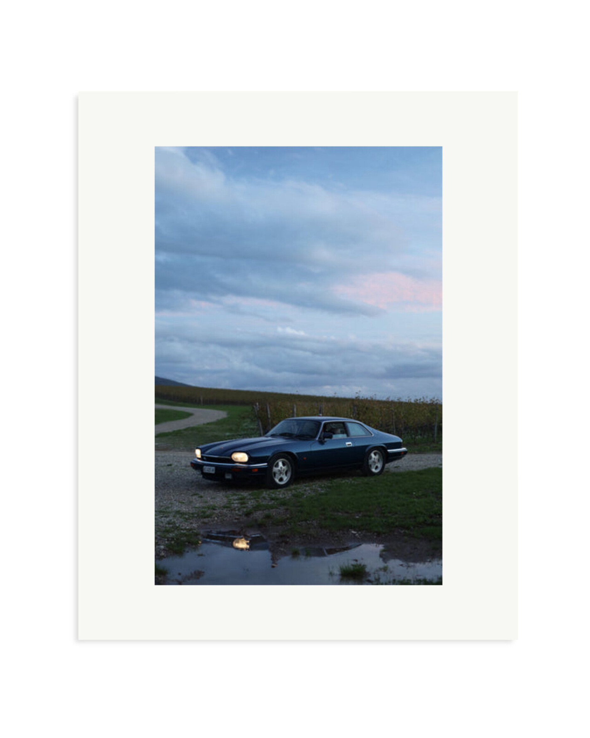 Jaguar XJS Print Only / Medium