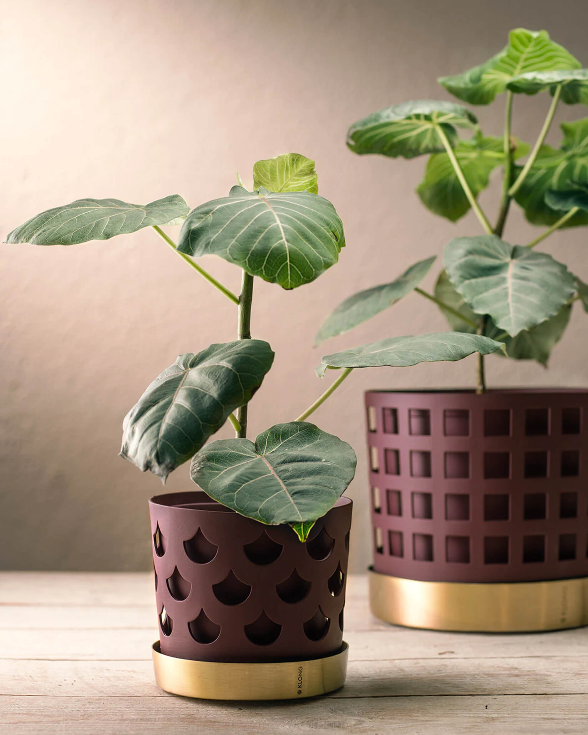 Trio Drop kruka burgundy