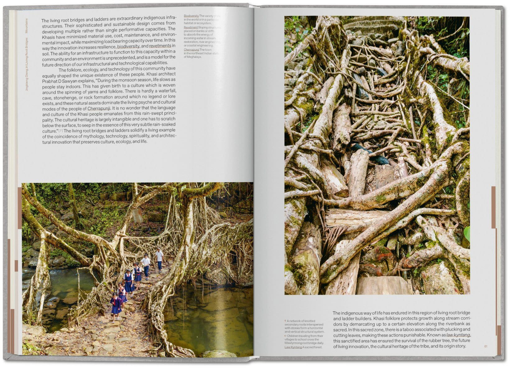 Lo-TEK, Design by Radical Indigenism