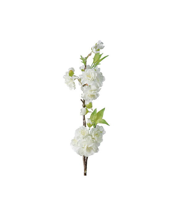 Cherry Blossom Branch White