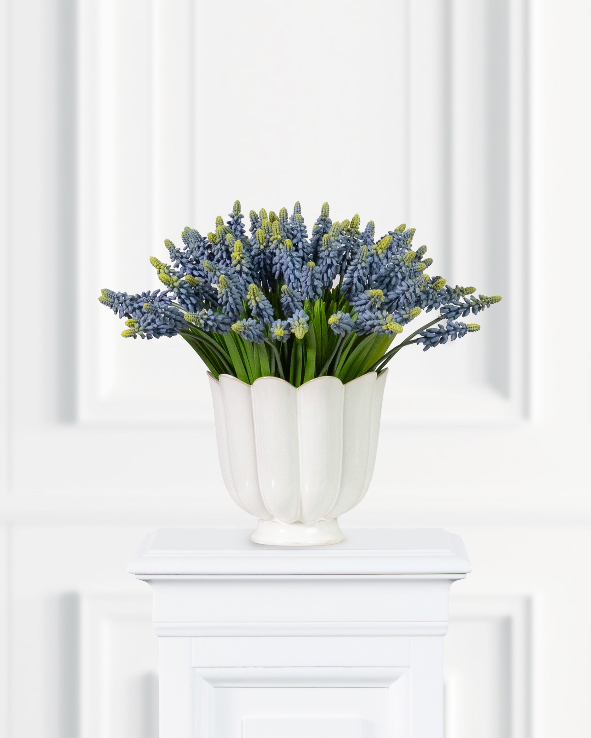Grape Hyacinth Cut Flower Blue