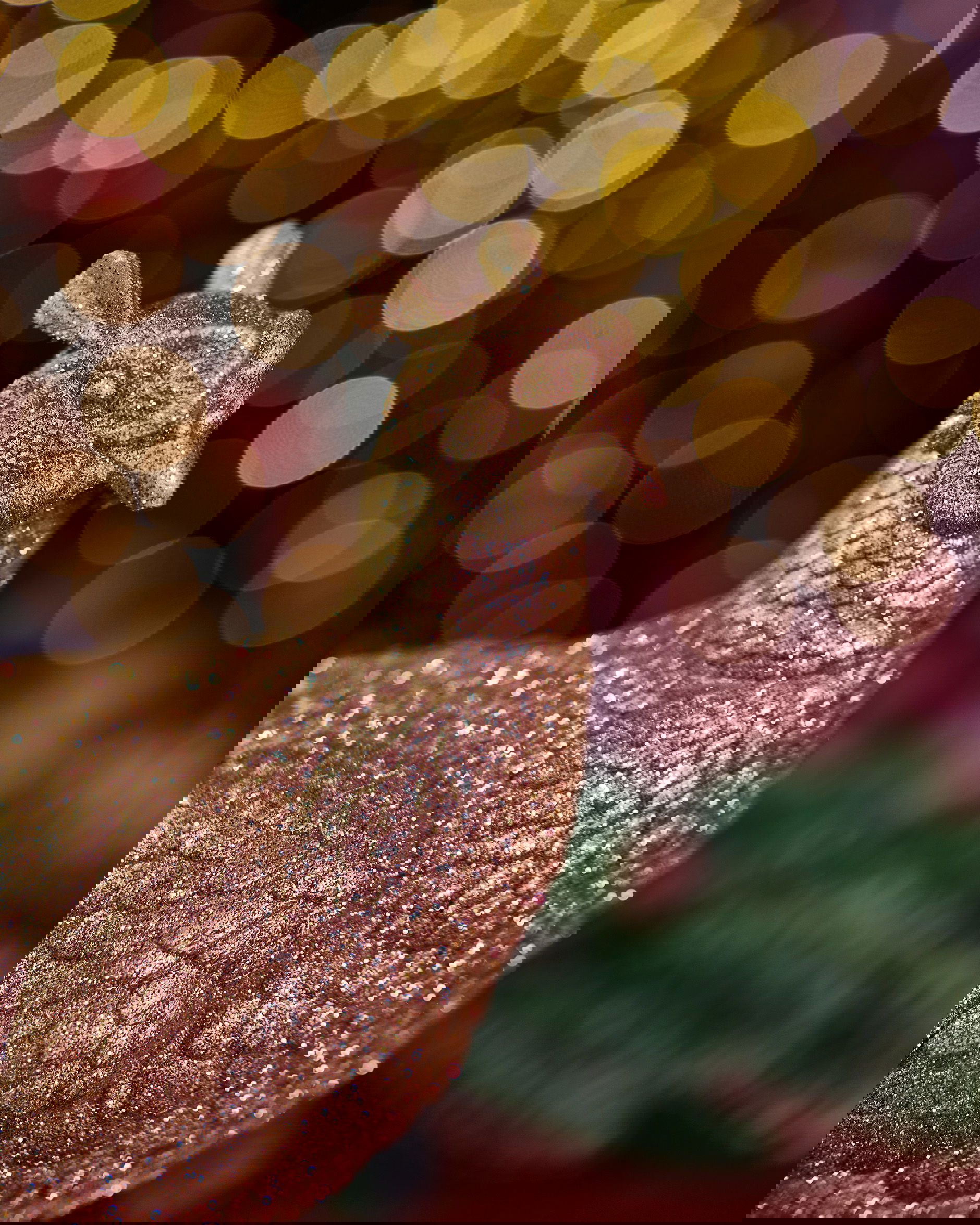 Evelyne fazant kerstdecoratie goud