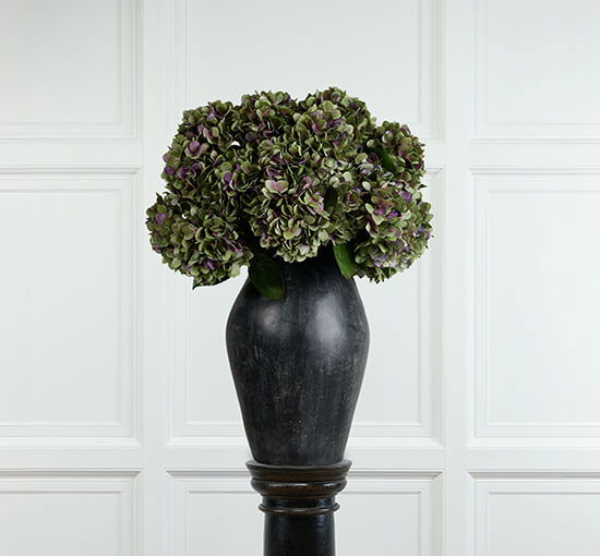 null - Hydrangea Cut Flower Burgundy/Green