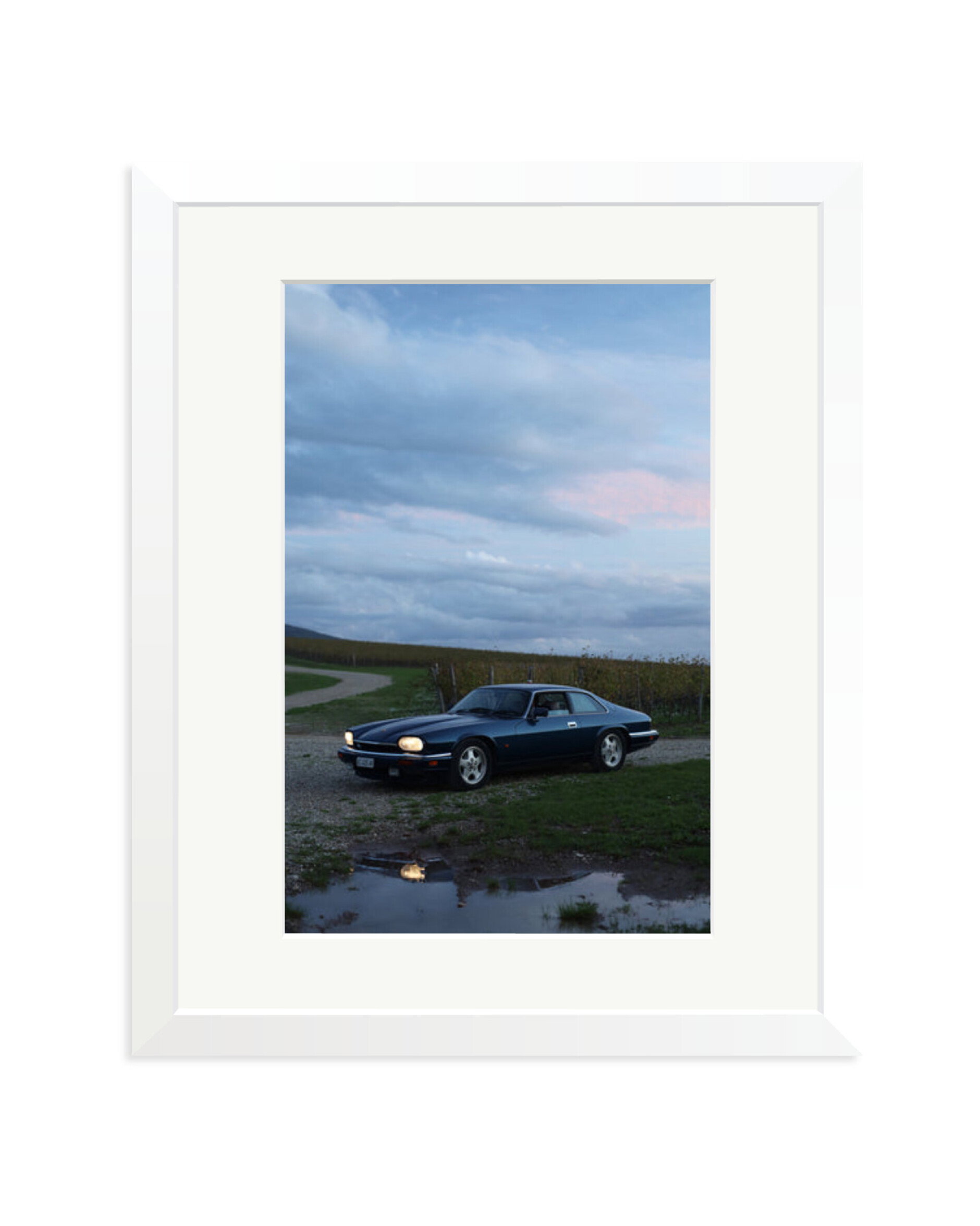 Jaguar XJS White / Medium