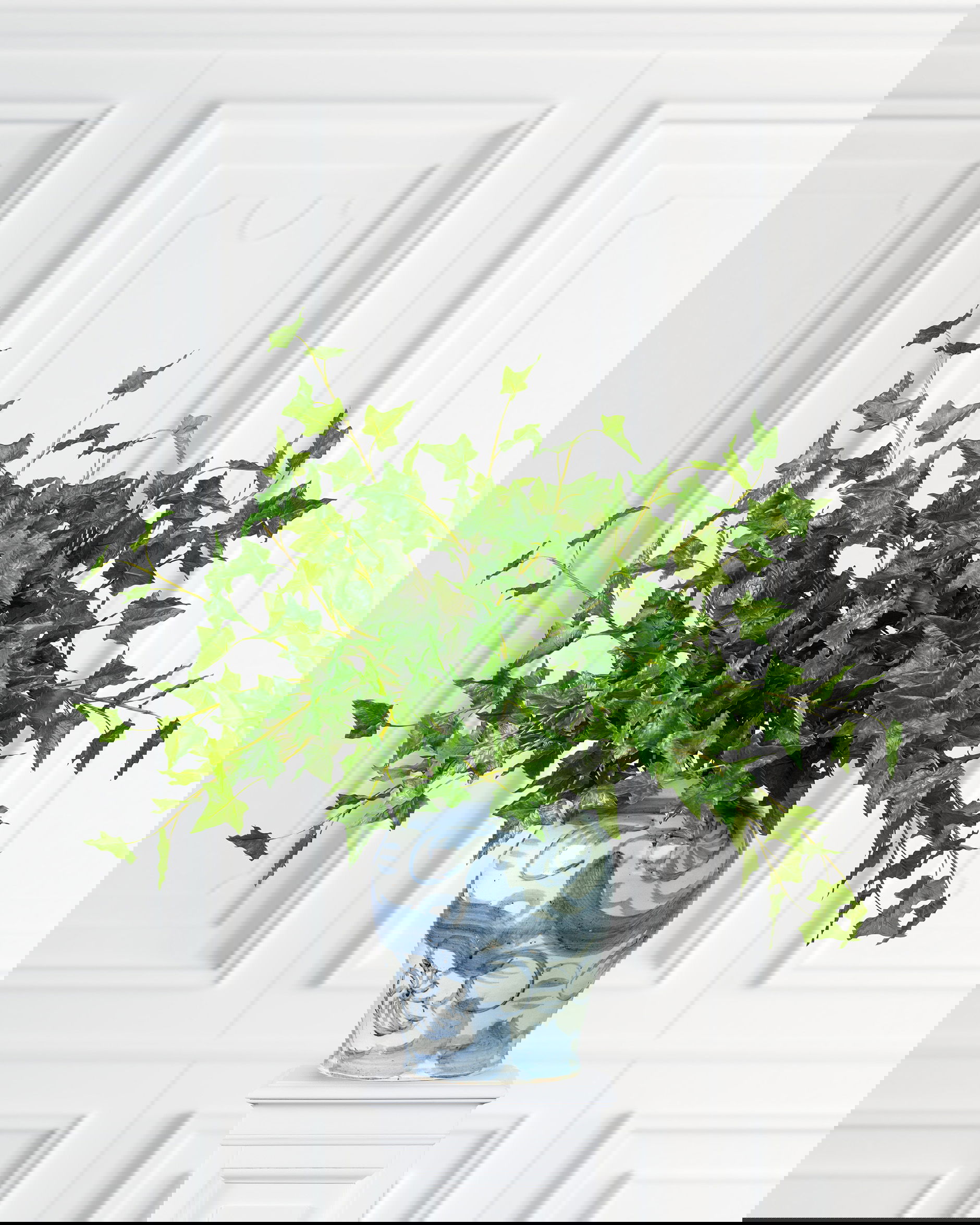 Murgröna snittblomma