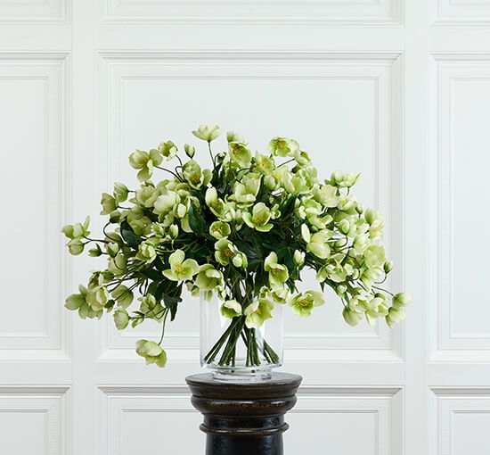 null - Christmas Rose Cut Flower Green