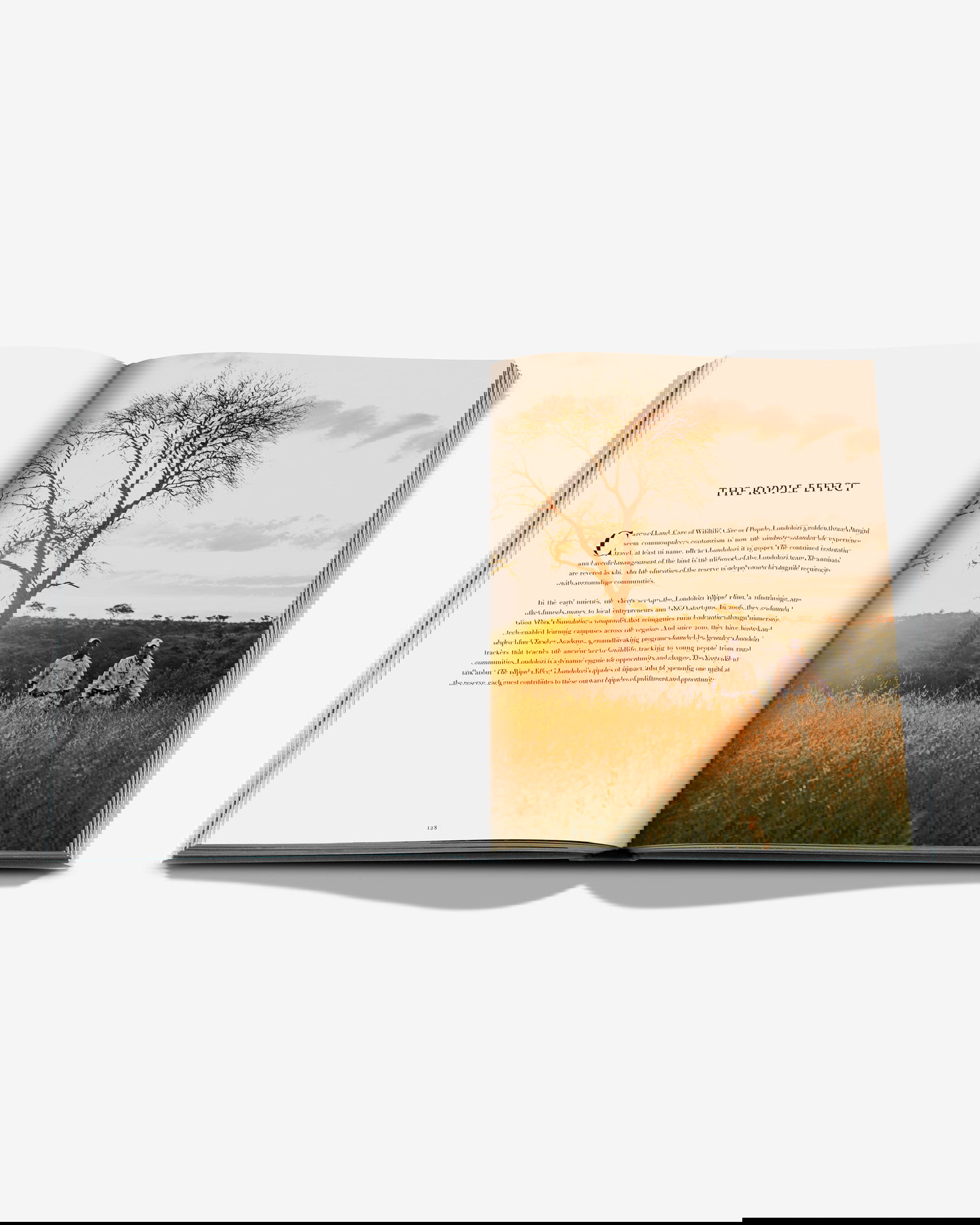 Londolozi, The Safari that Changed Everything