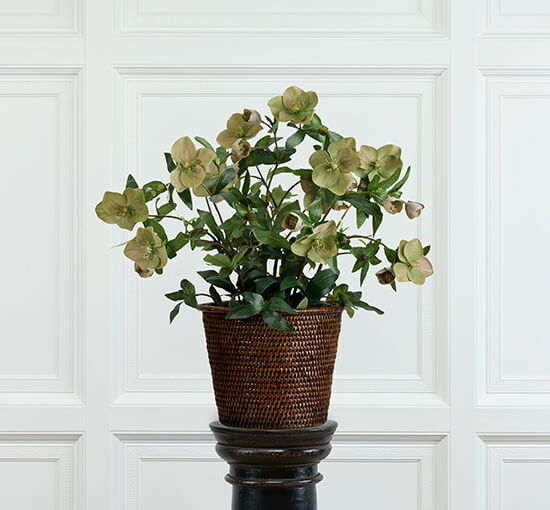 Roze - Christmas Rose Artificial Plant White