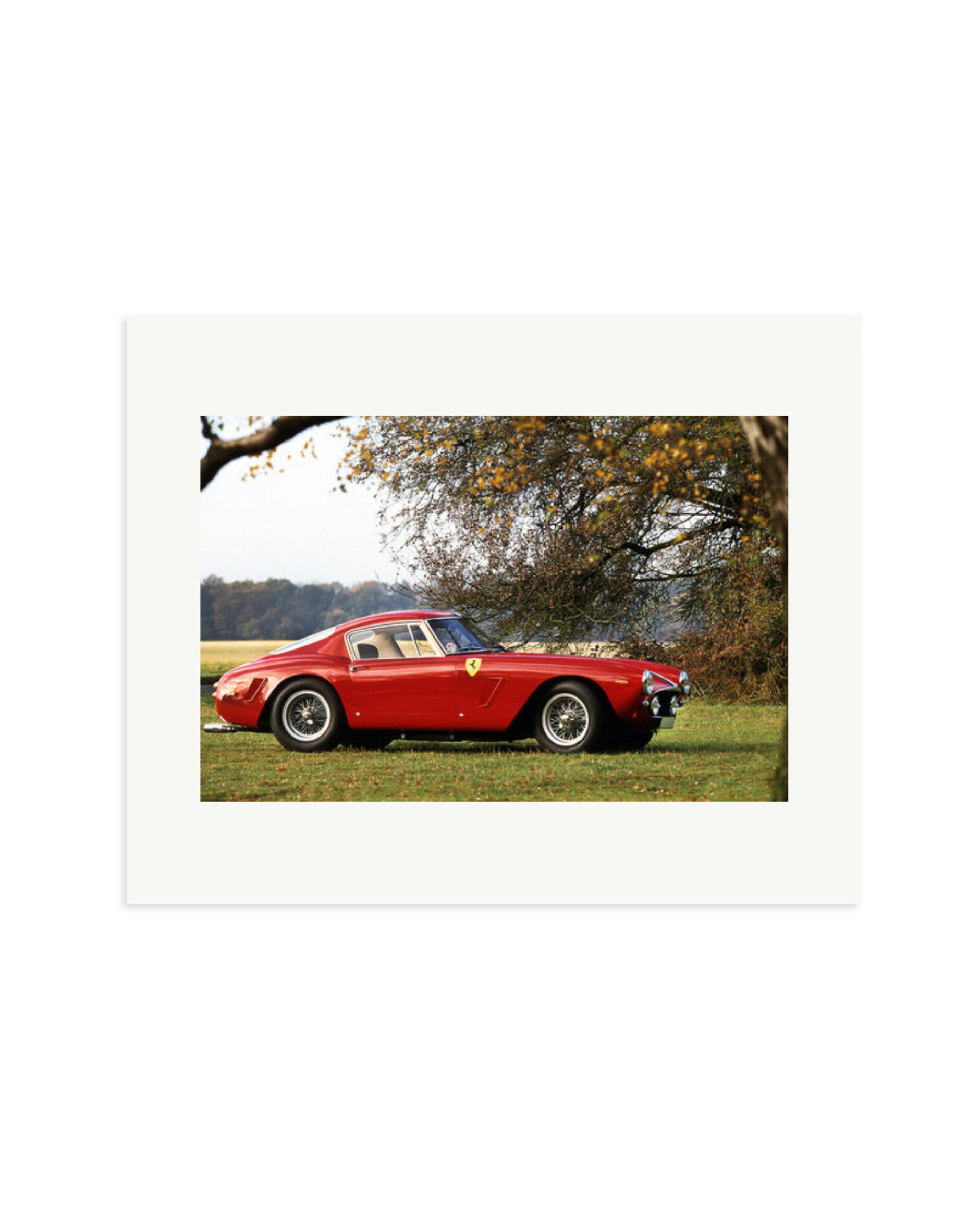 Ferrari Competizione Print Only / Medium