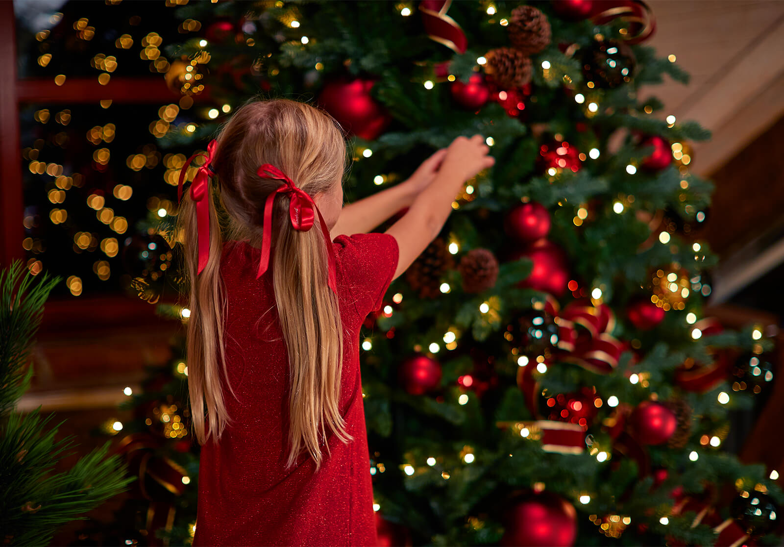 Christmas Trees
