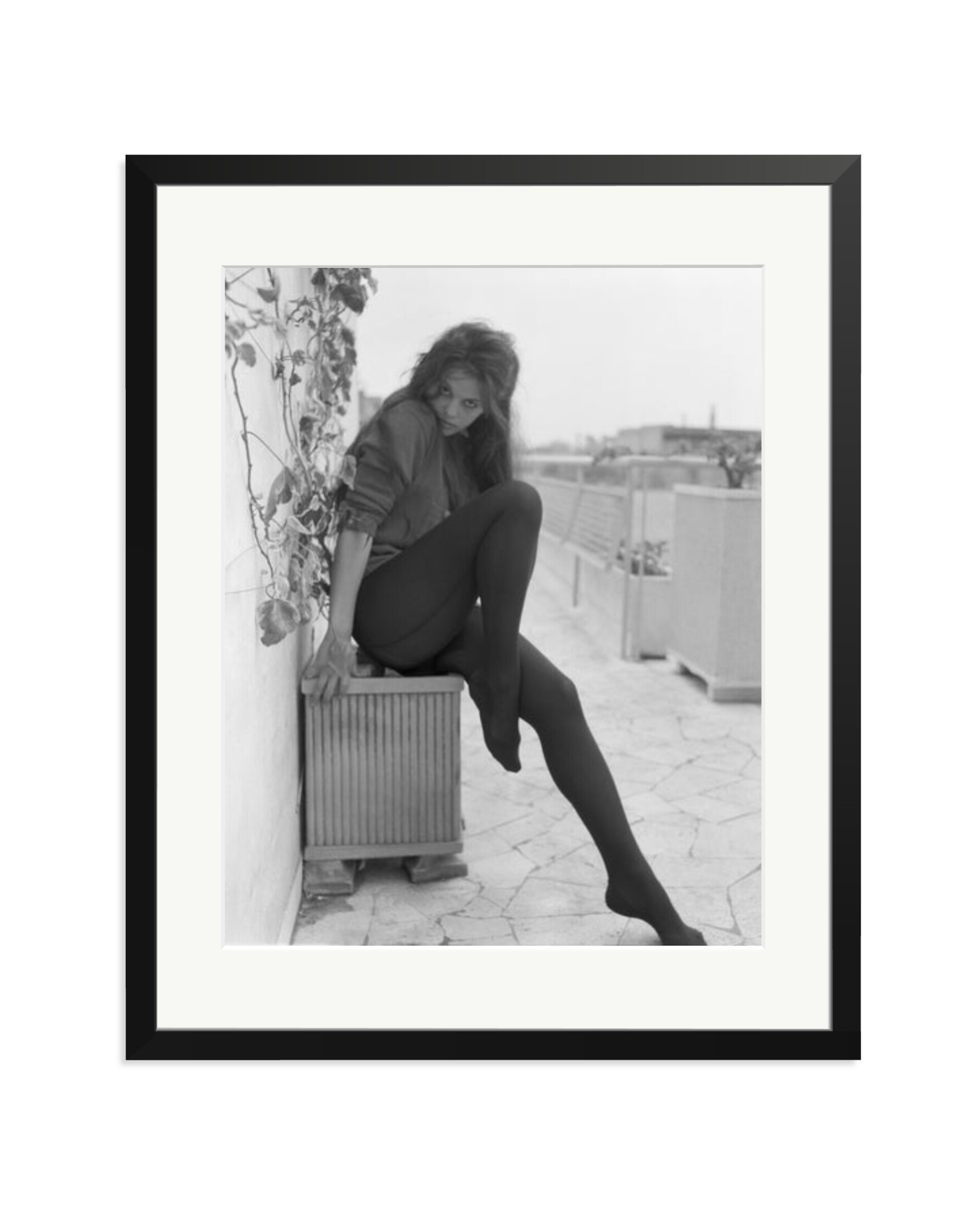 Cardinale Posing in Rome Black / XL