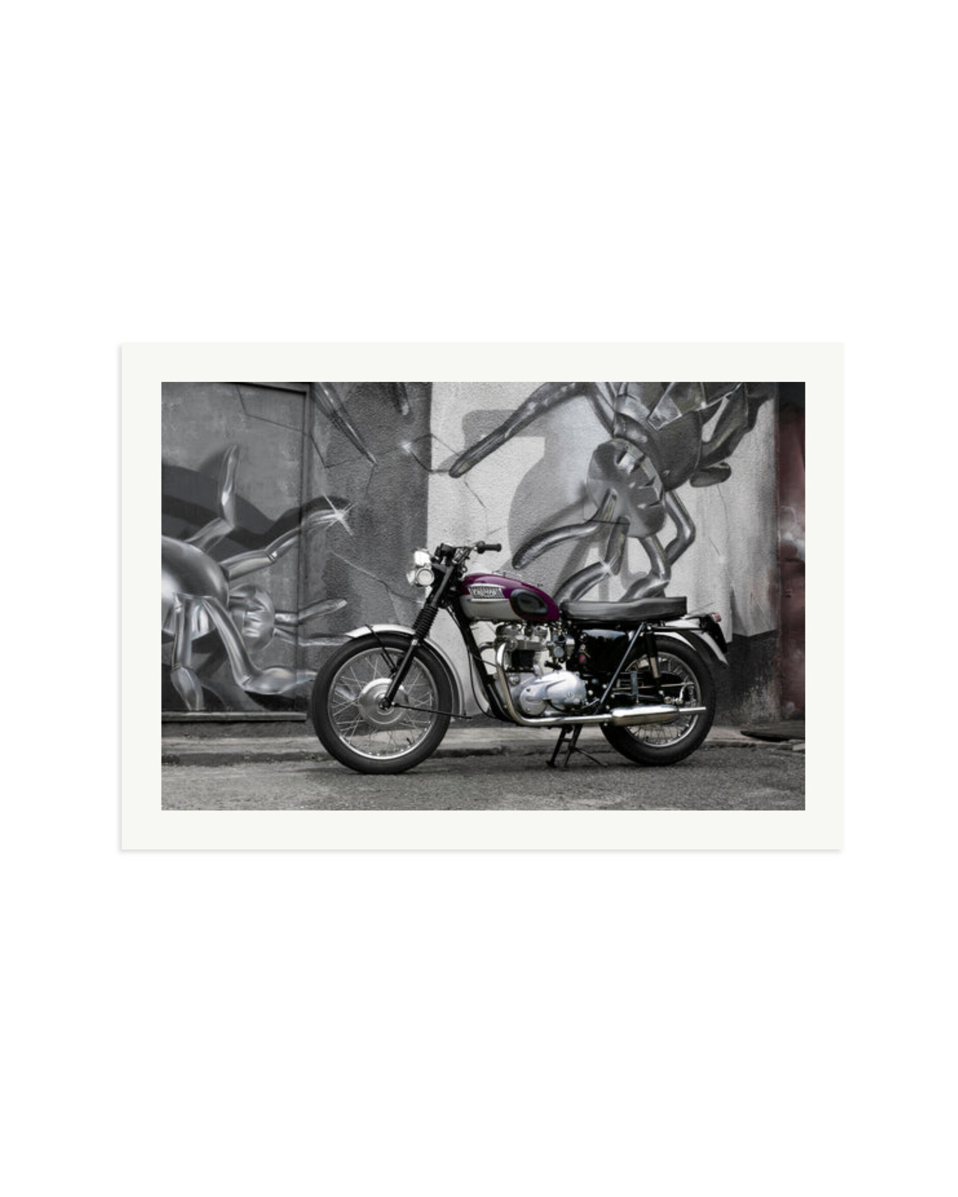 1963 Triumph Trophy Print Only / XXL