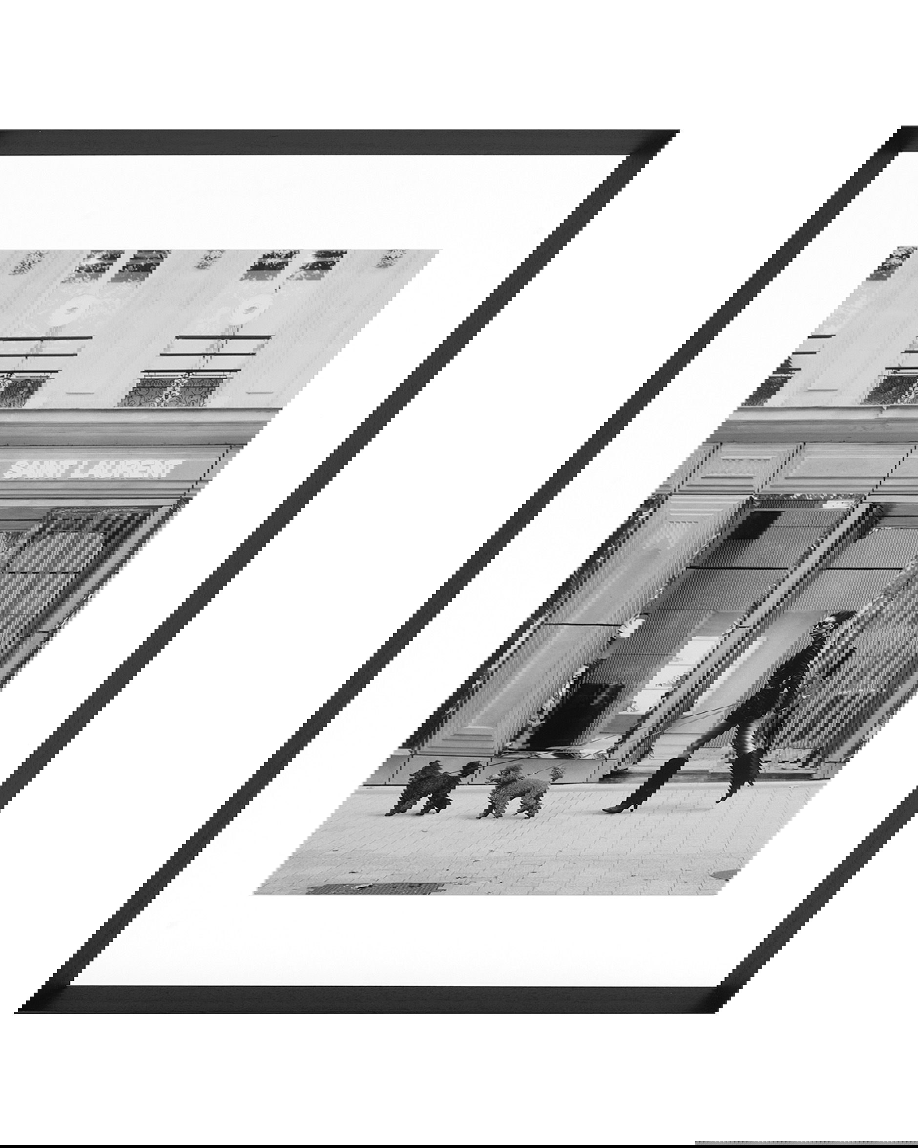 Who let the dogs out?