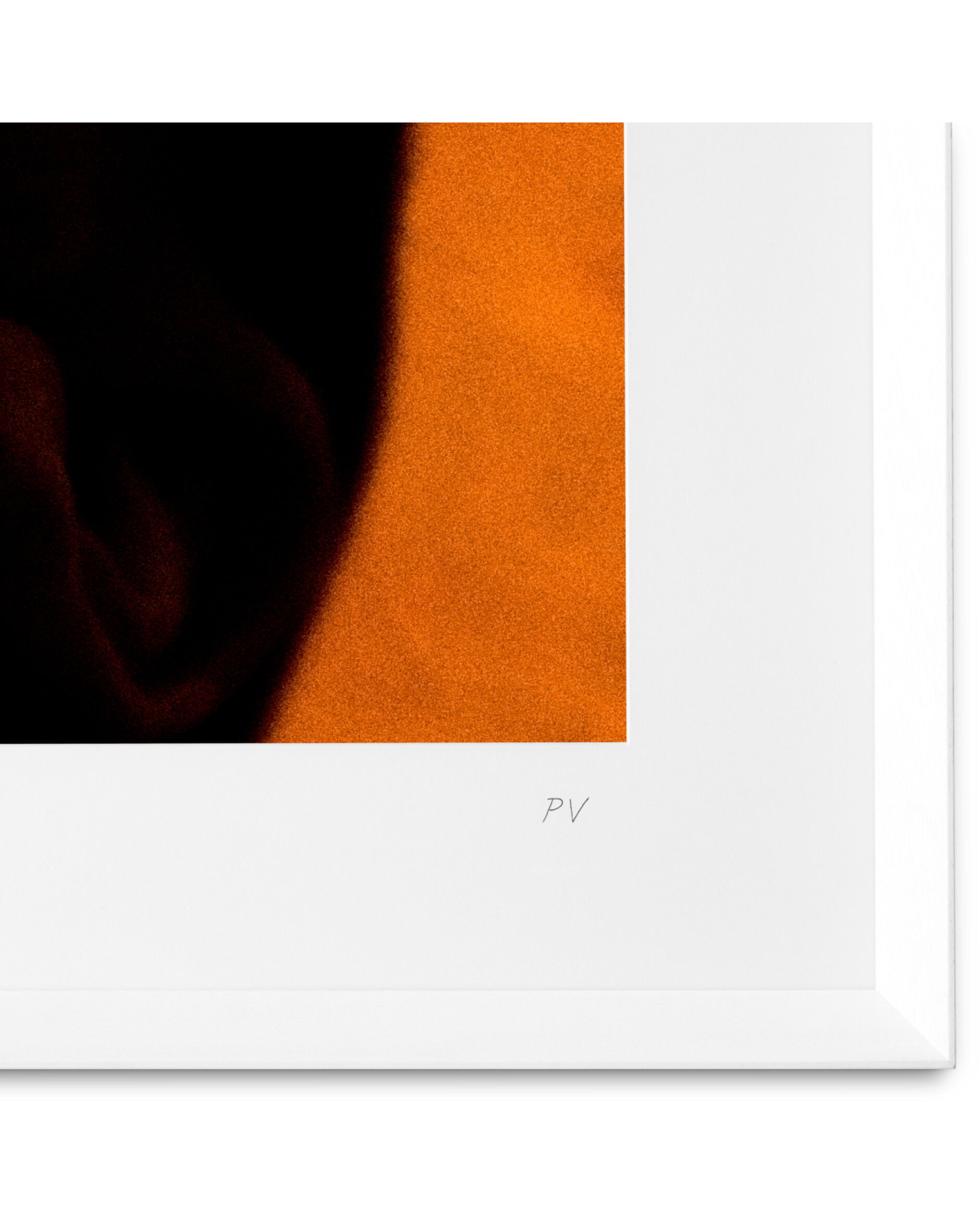 Philippe Vogelenzang - Vitamin Oral