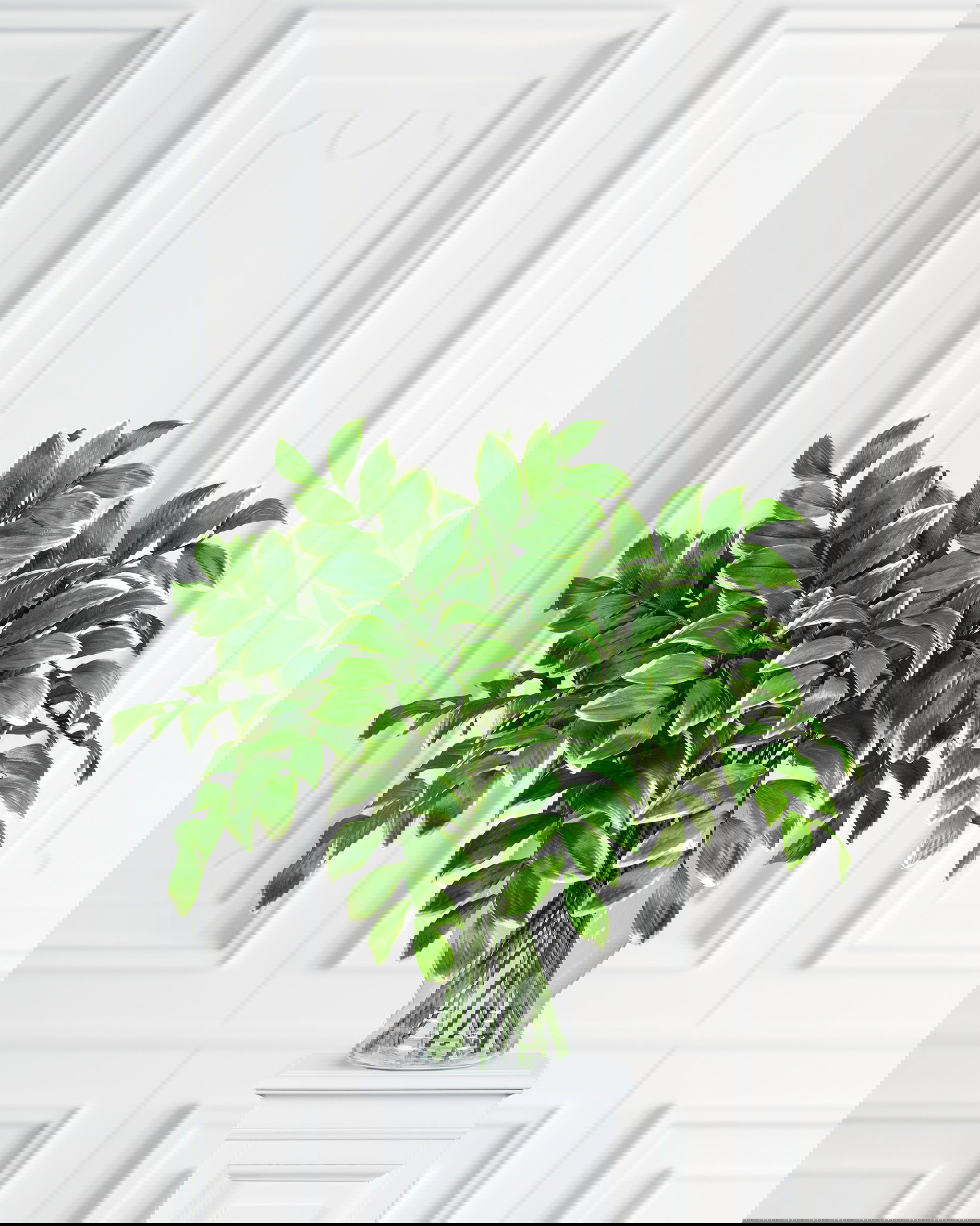 Leaf branch cut flower green