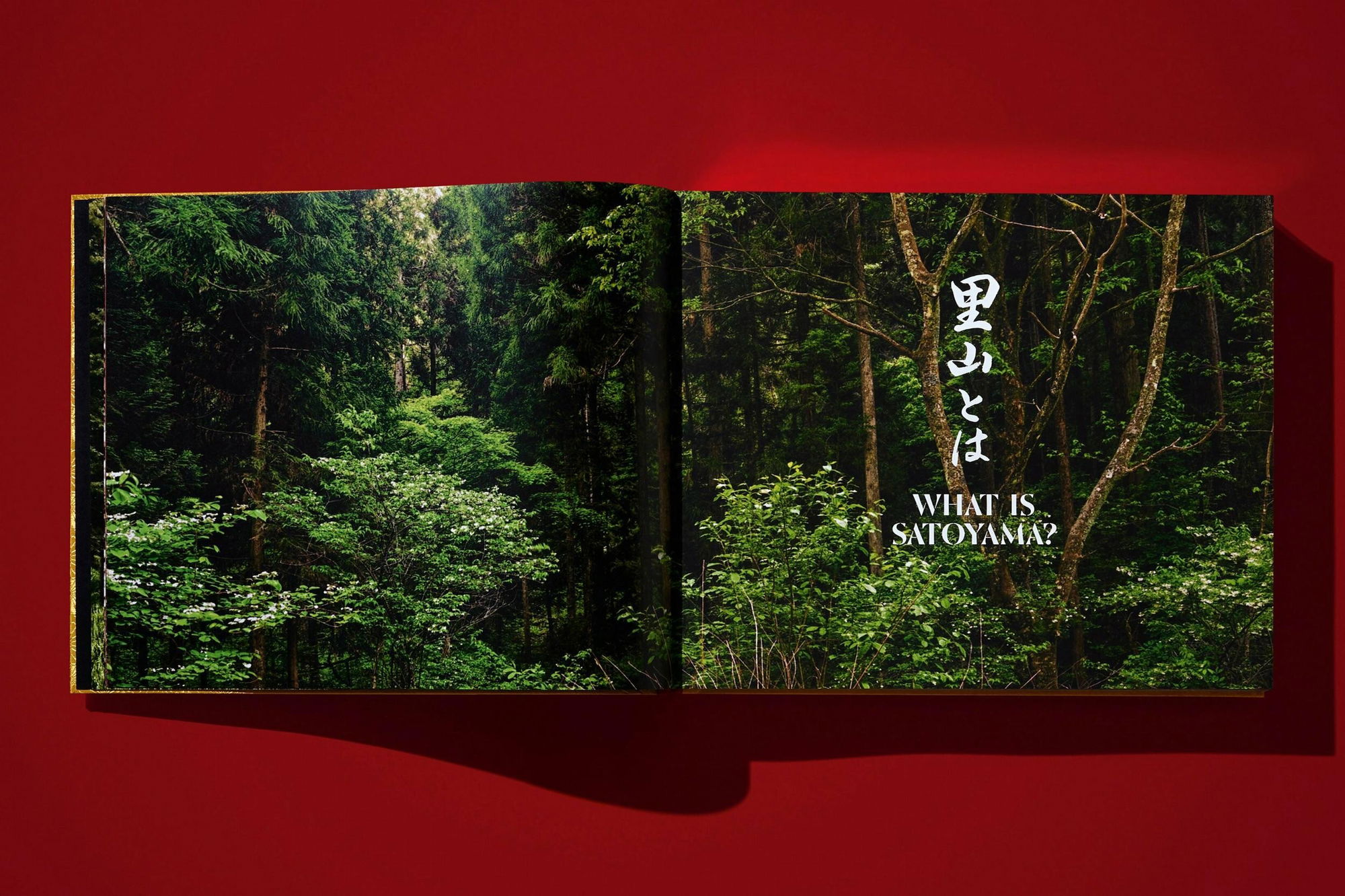 Yoshihiro Narisawa. Satoyama Cuisine