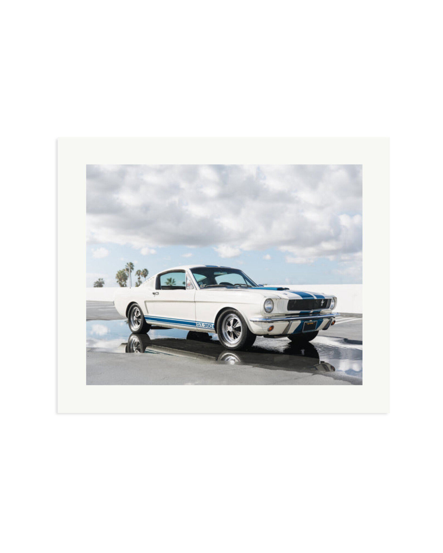 Ford Mustang Shelby GT350 Print Only / Large