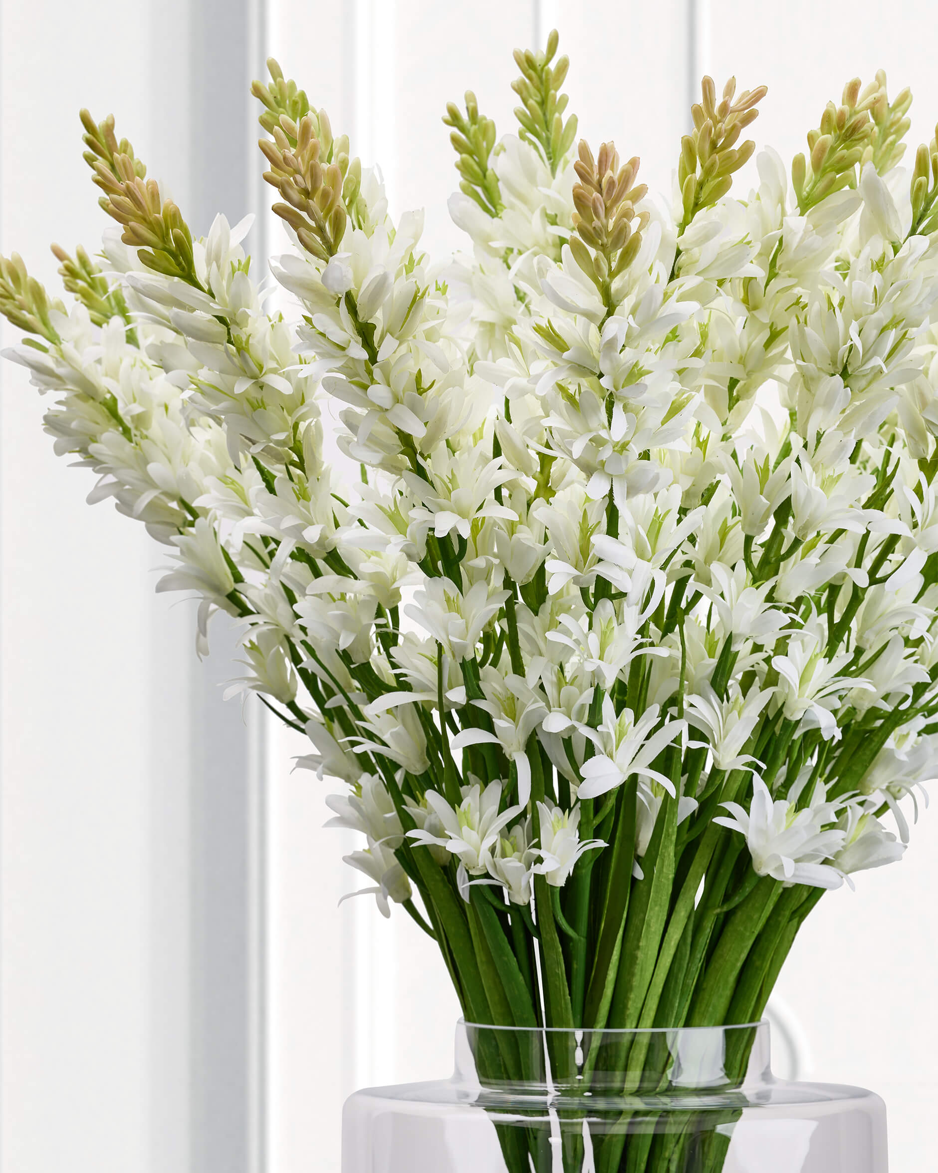 Tuberosa snittblomma vit