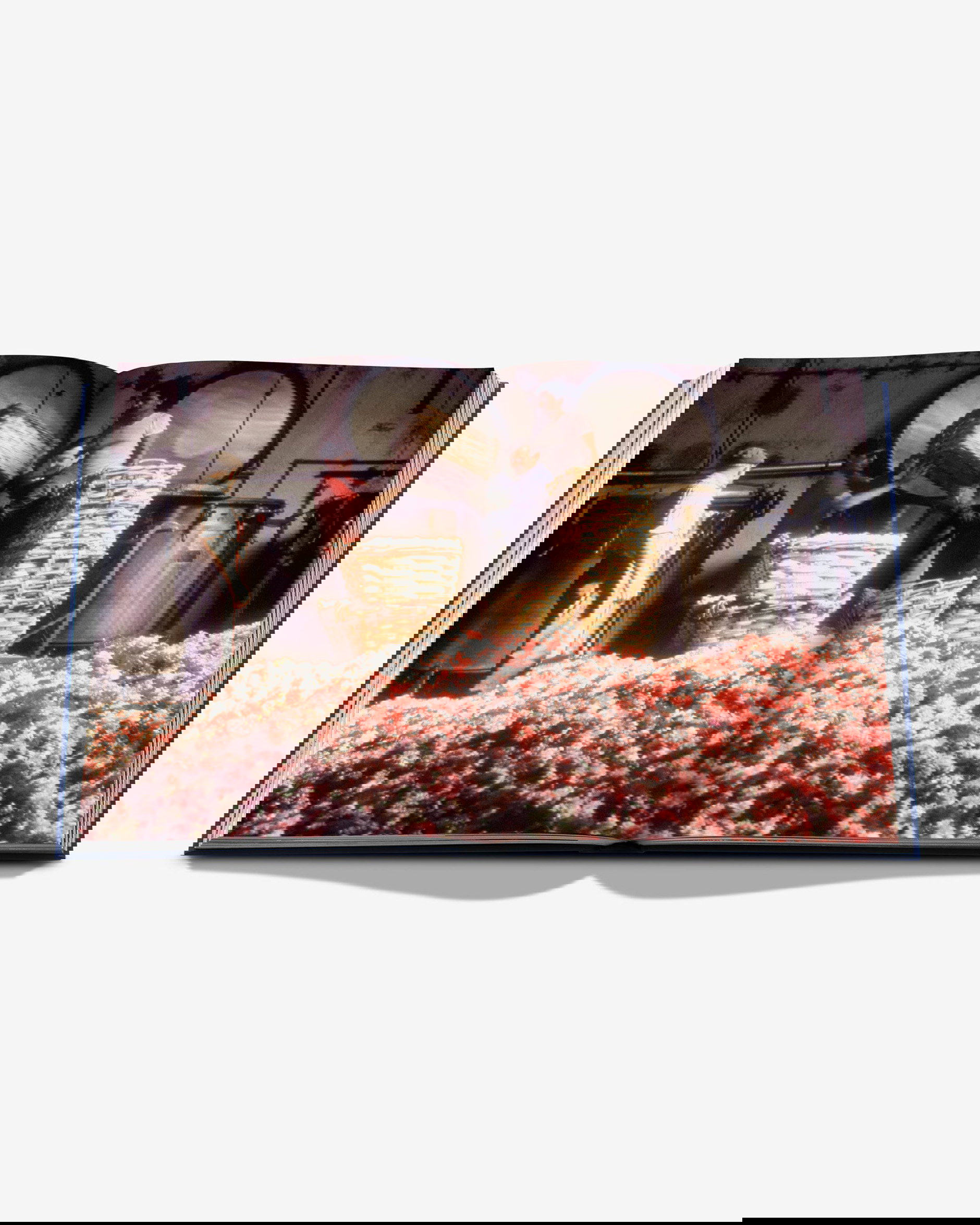 Robertet: From Seed to Scent