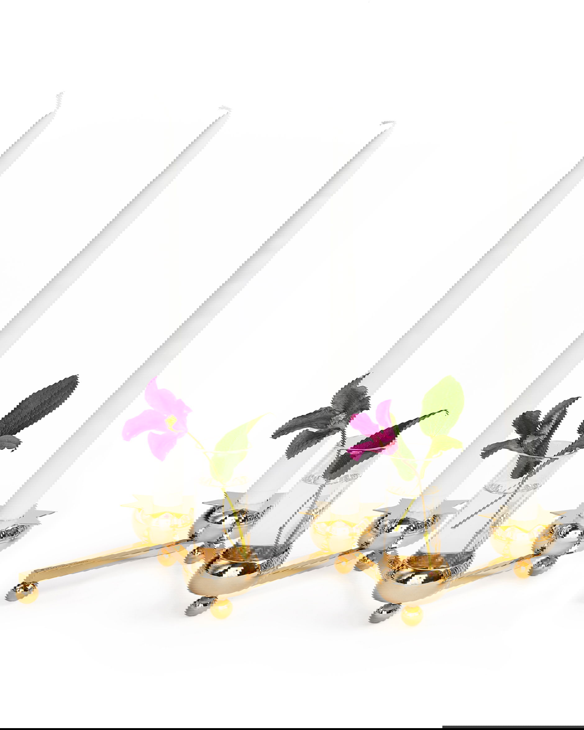 Constella glasinsats