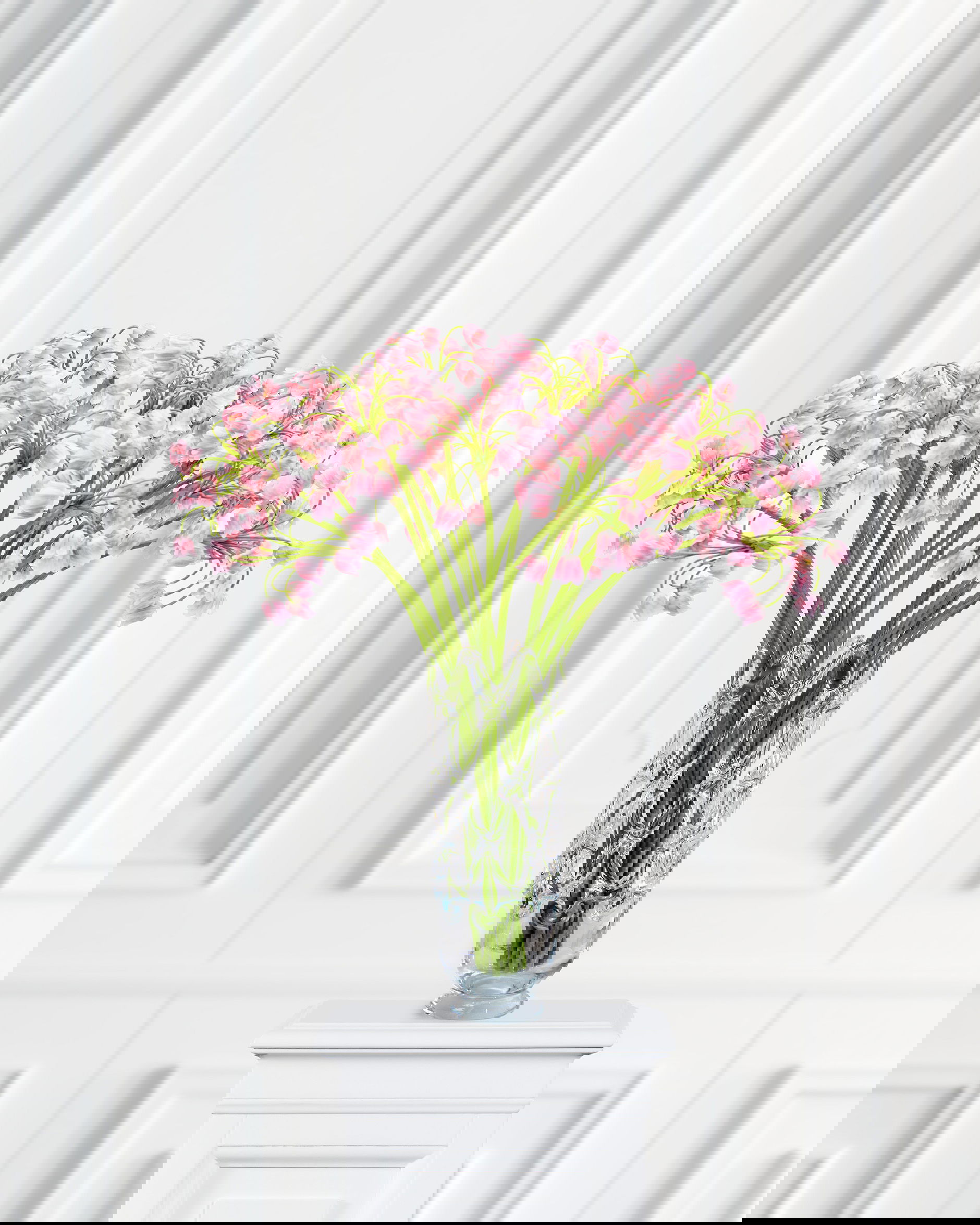 Allium Schnittblume rosa