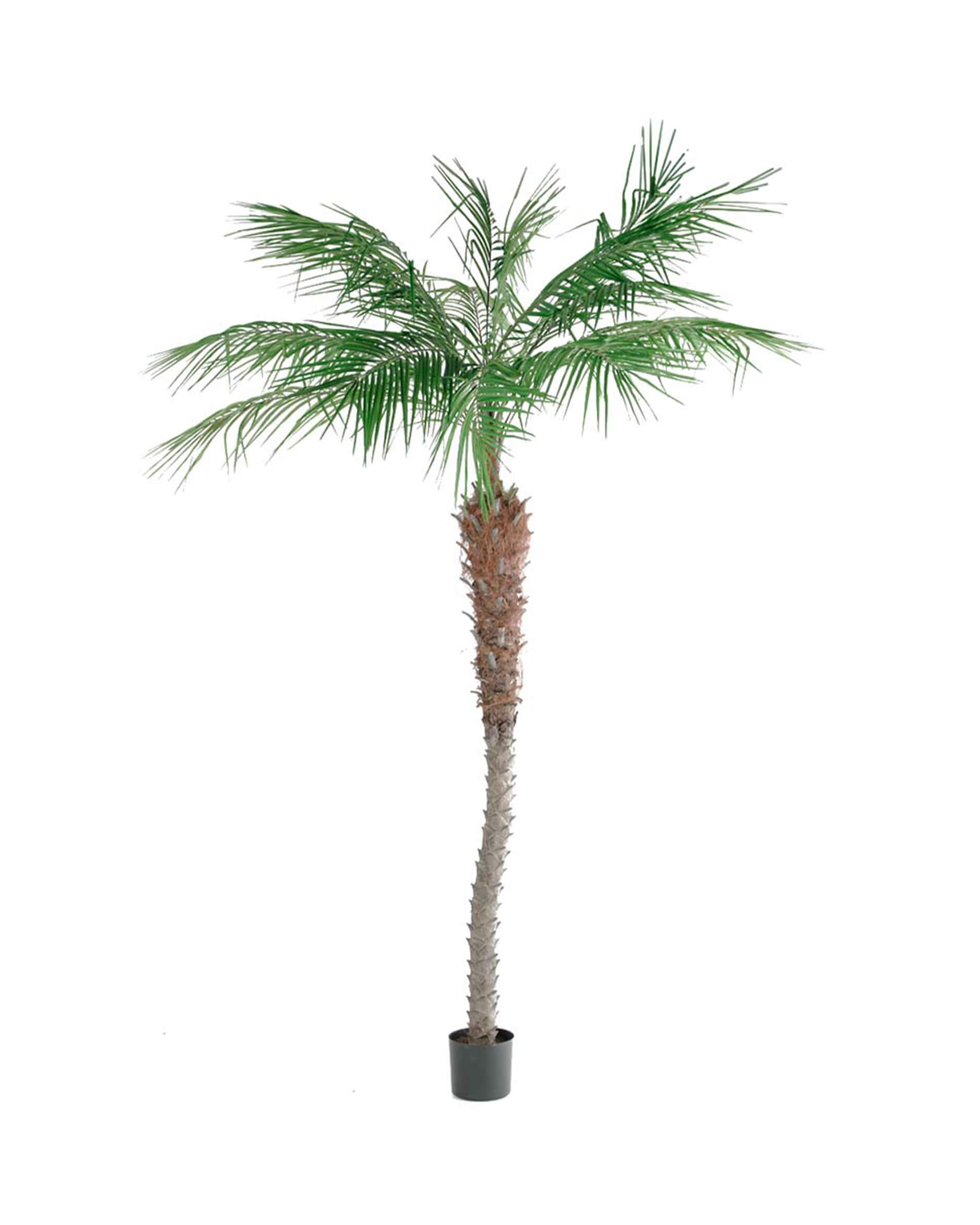 Phoenix palm konstträd grön