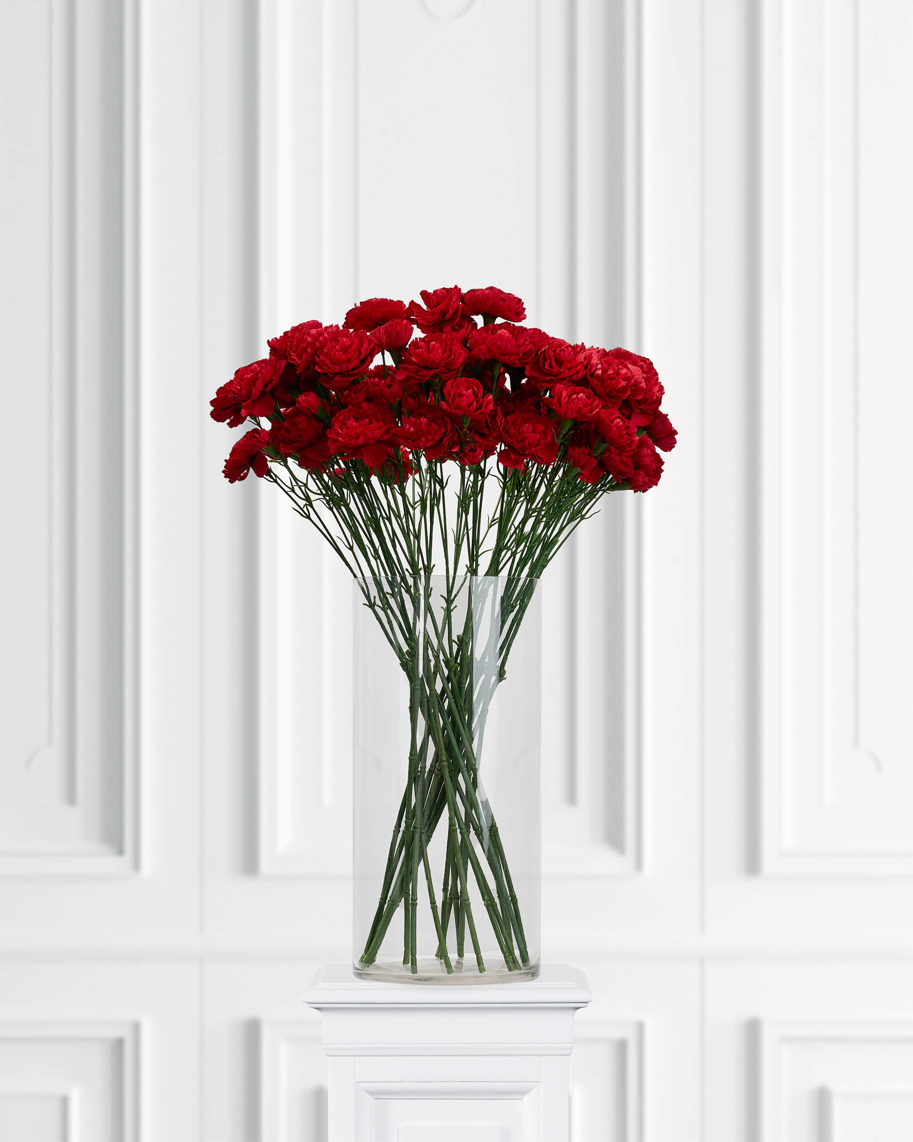 Nejlika snittblomma röd