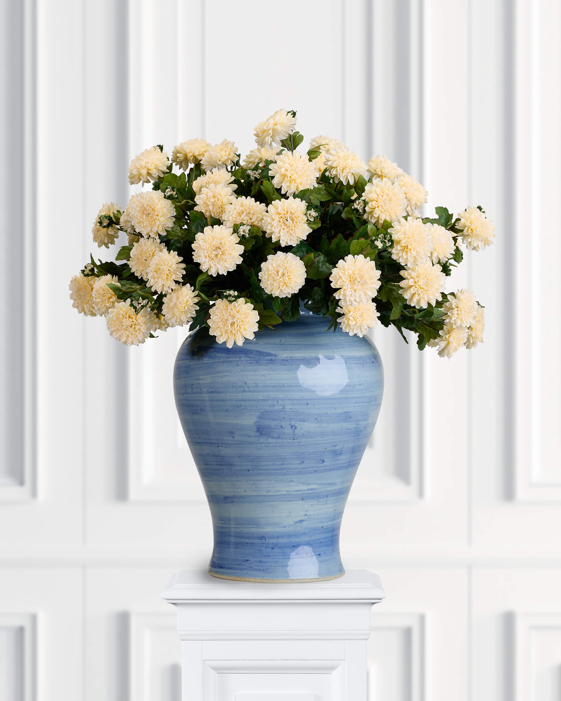 Chrysanthemum snittblomma off-white