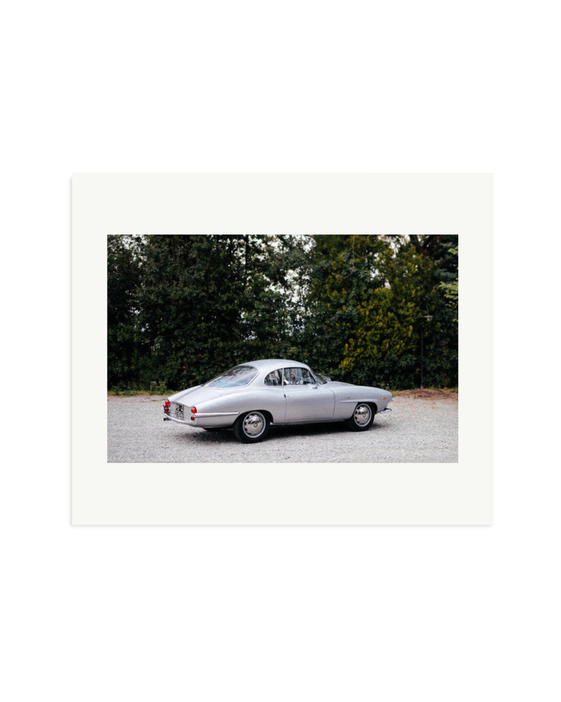 1964 Alfa Romeo Giulia SS Print Only / Large