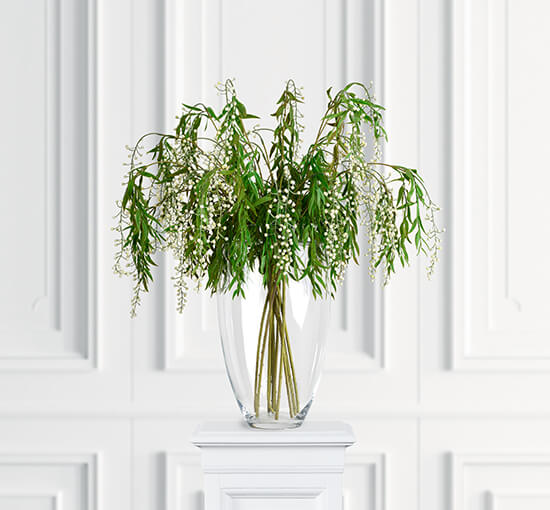Berry Branch White