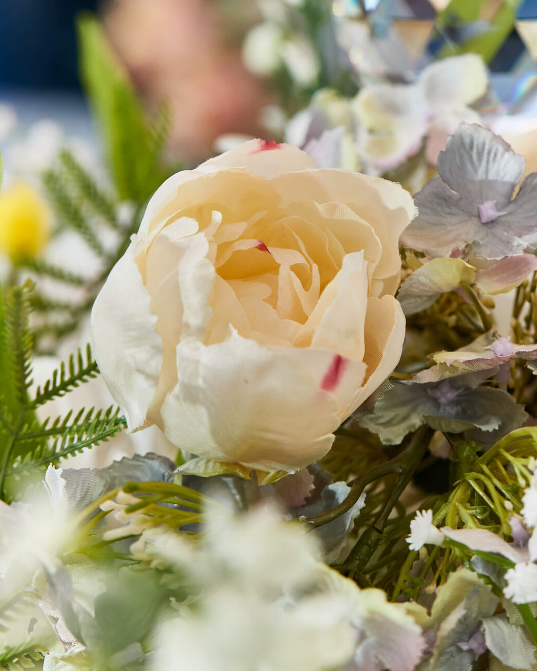 Tulpan snittblomma cream