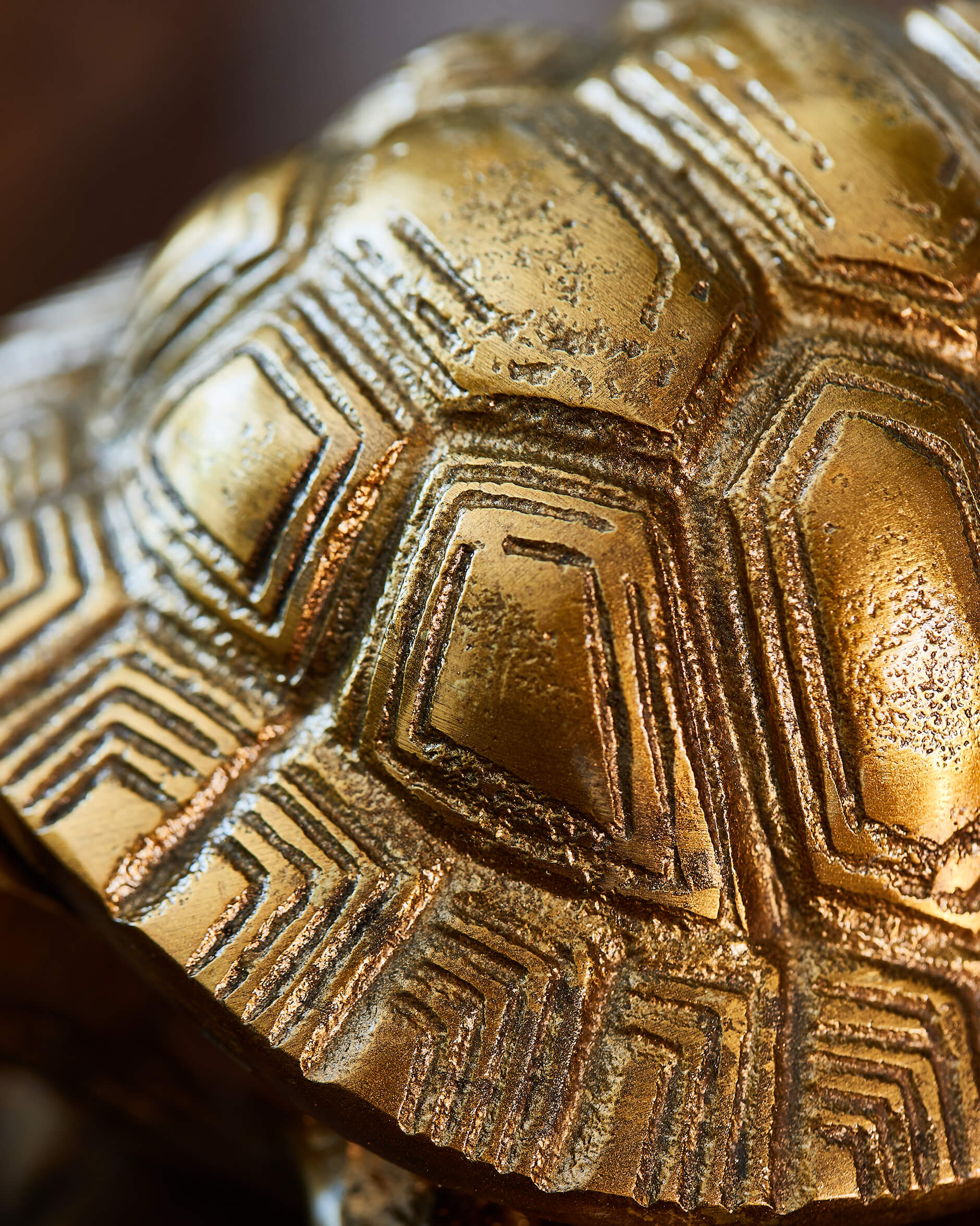 Kilpikonna rasia messinki