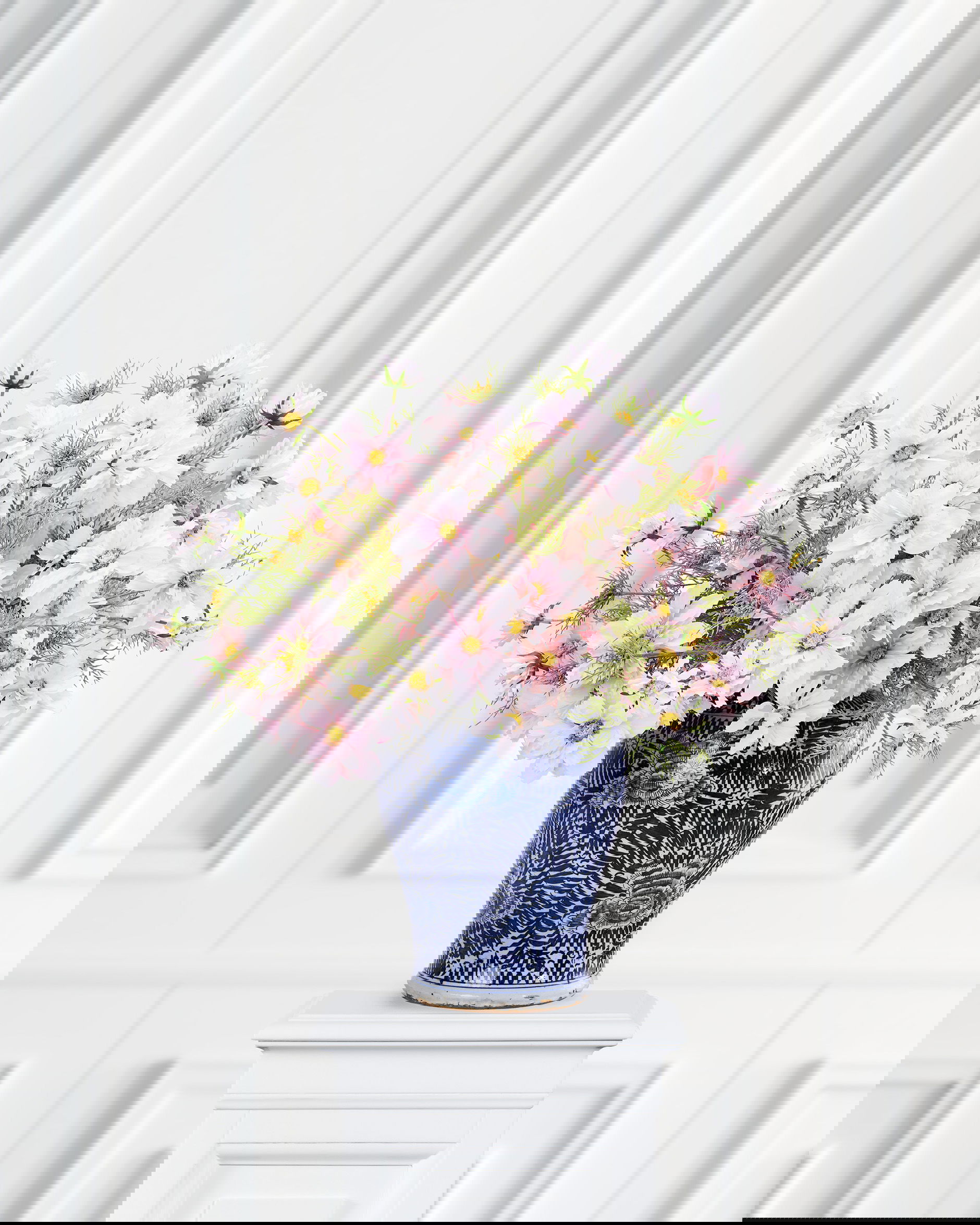 Kosmos snittblomst rosa