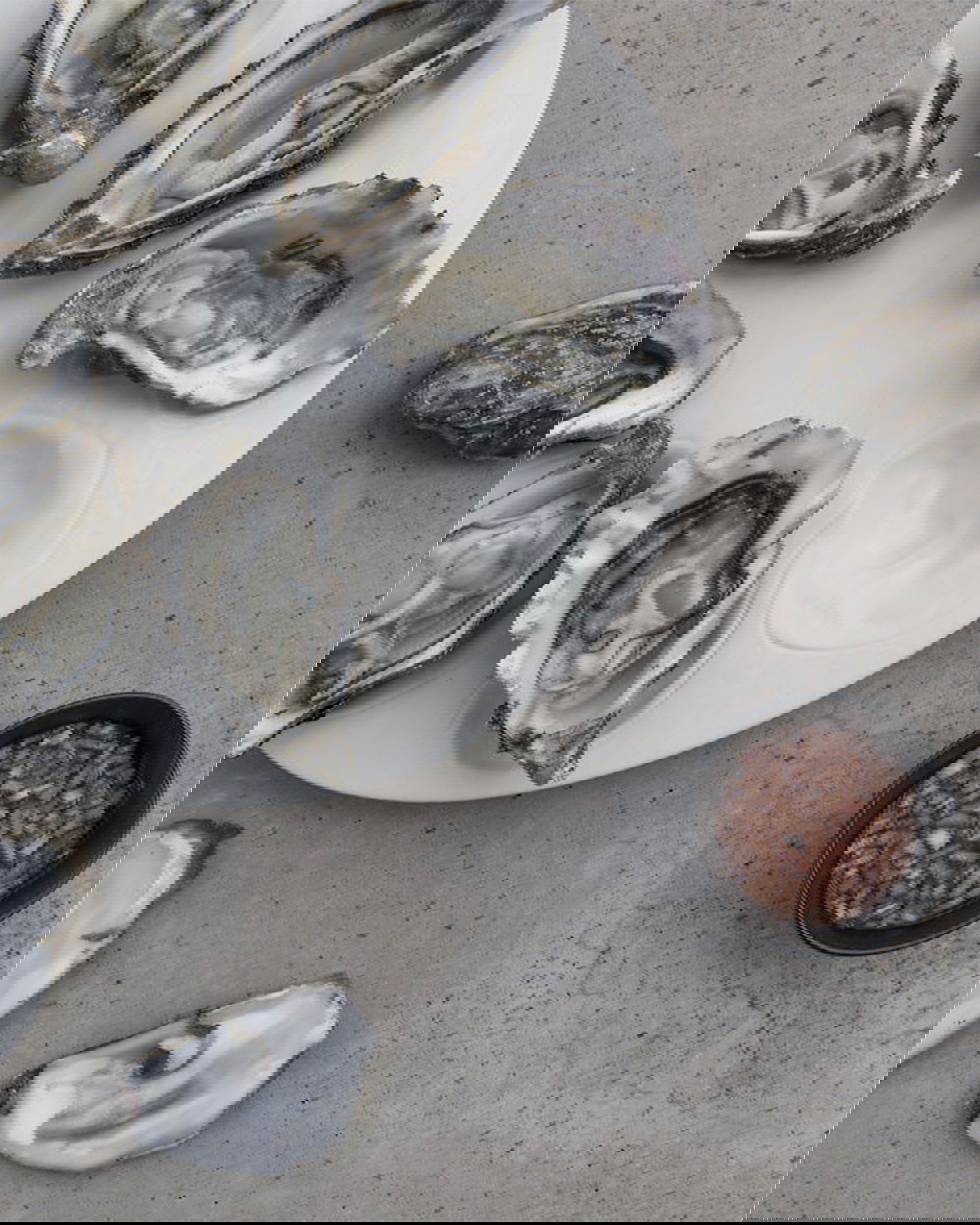 Cotier serveringsfat ostron