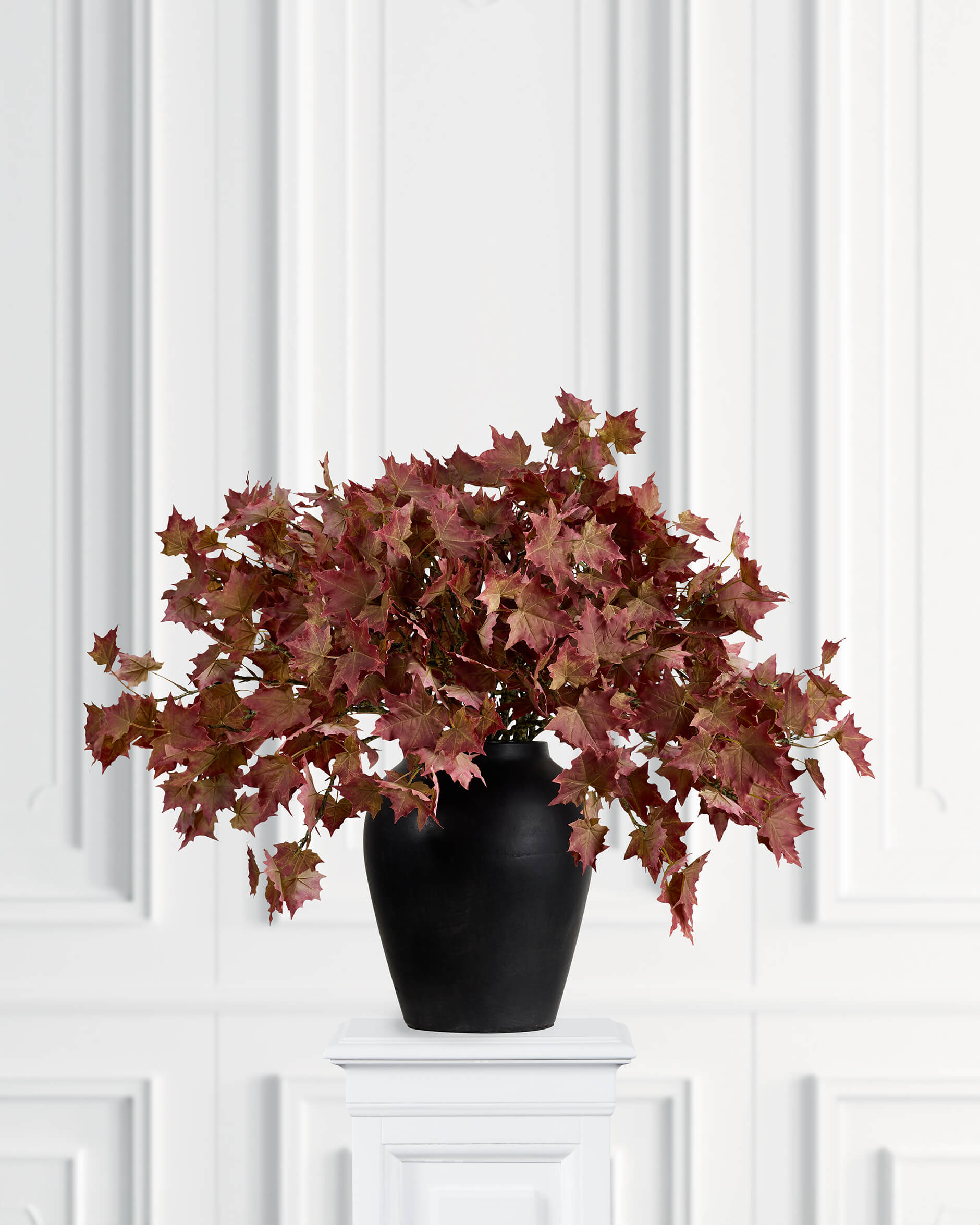 Lönn snittblomma orange