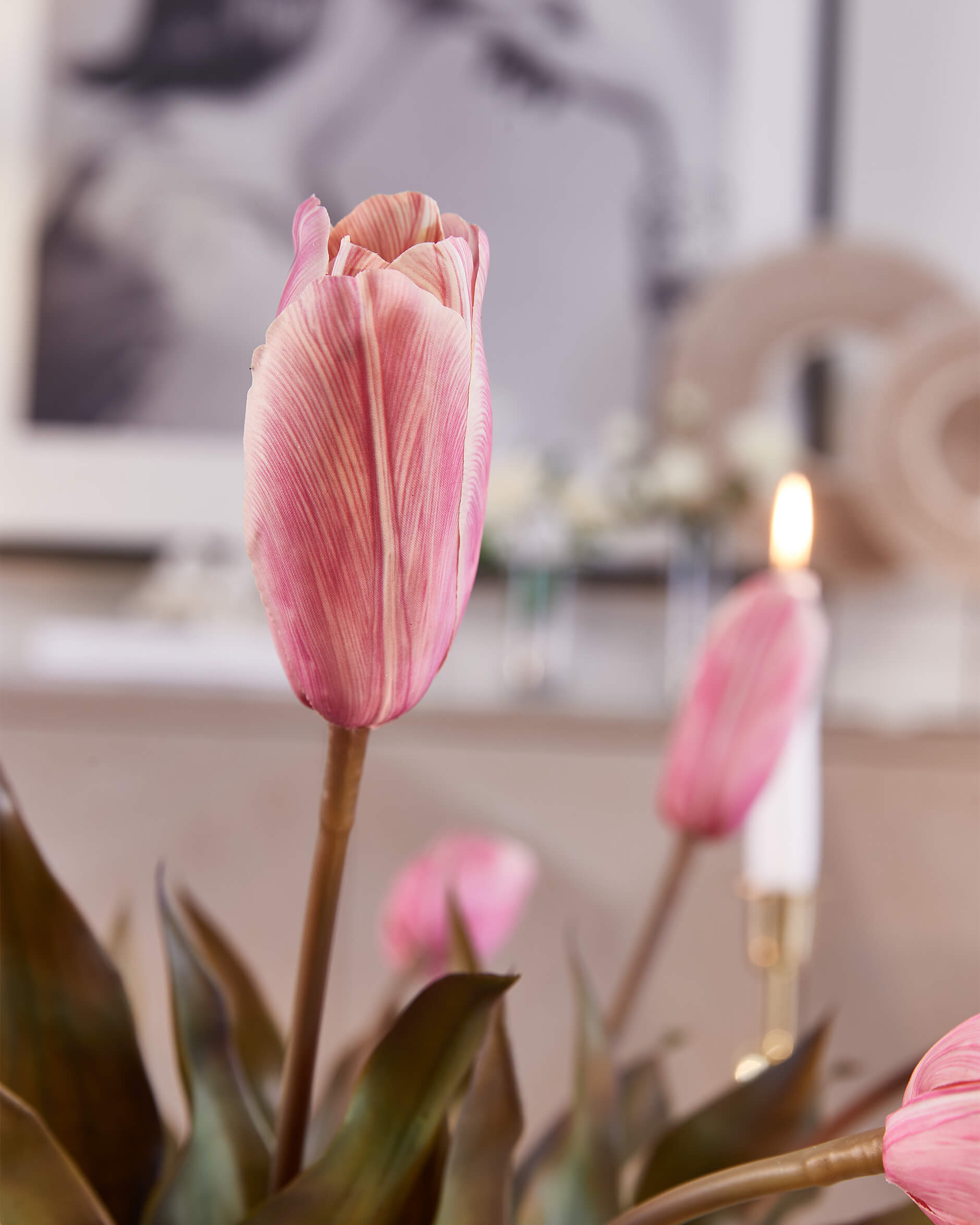 Tulpan snittblomma rosa