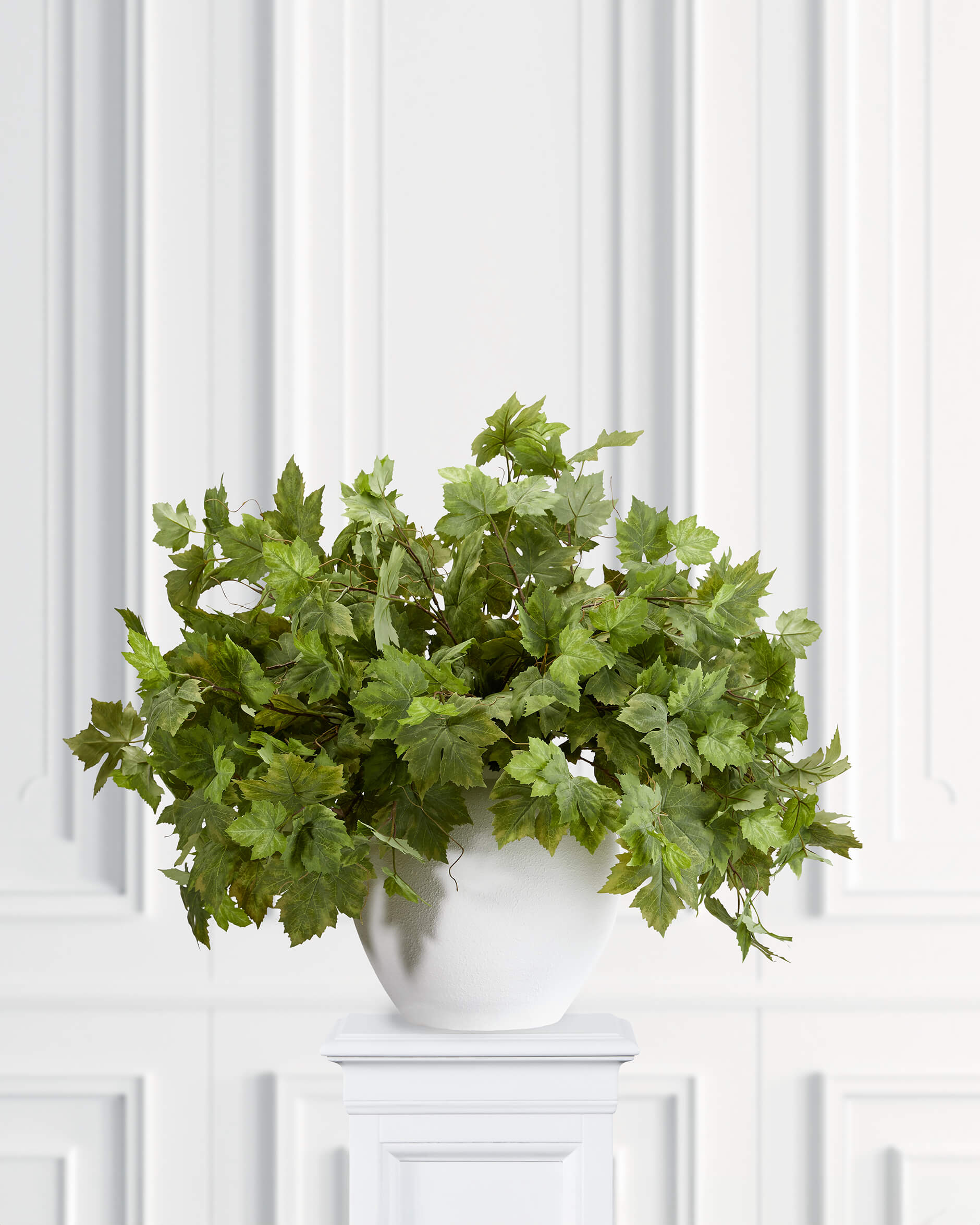 Vinbärskvist snittblomma grön