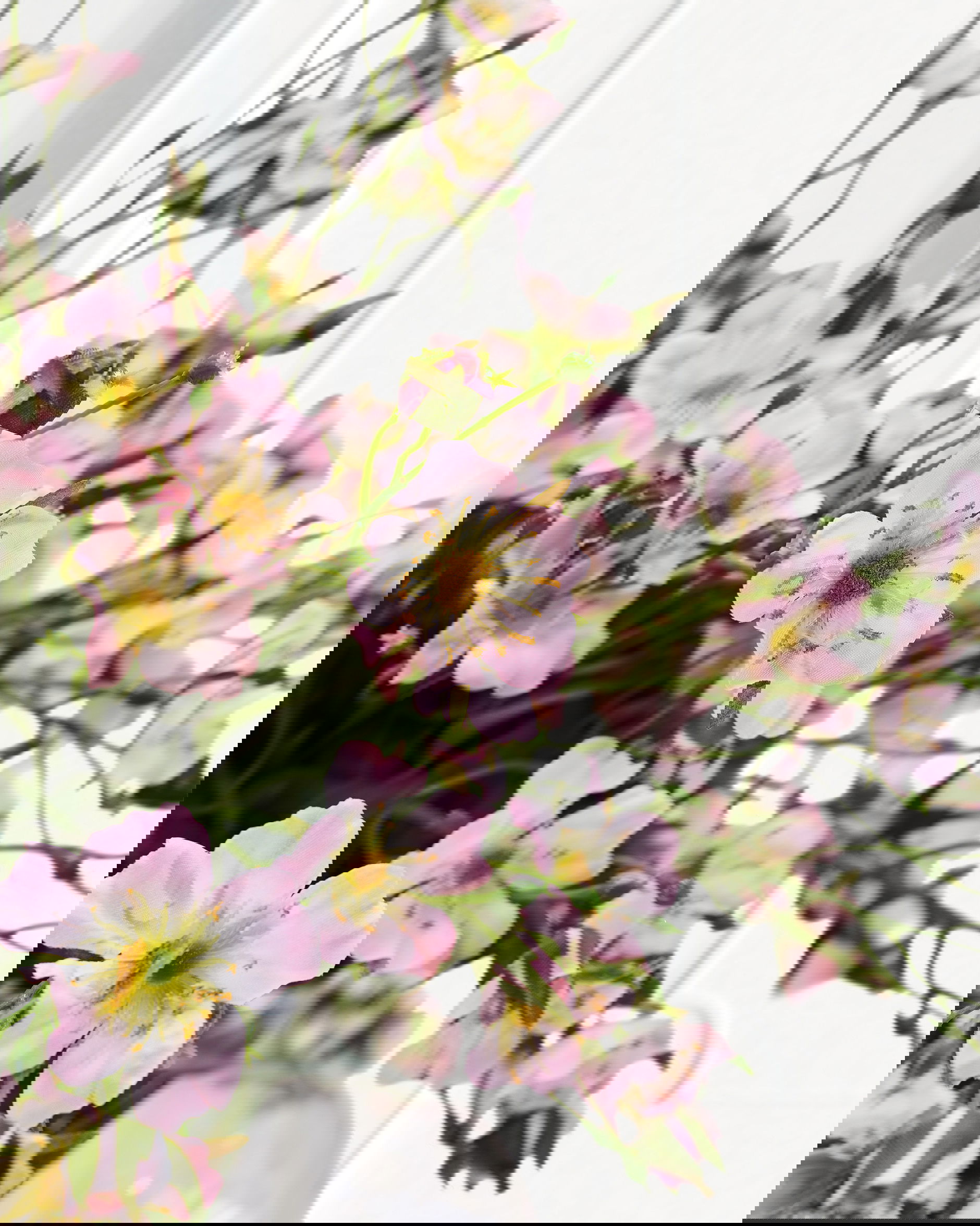 Japanse klimroos snijbloem roze