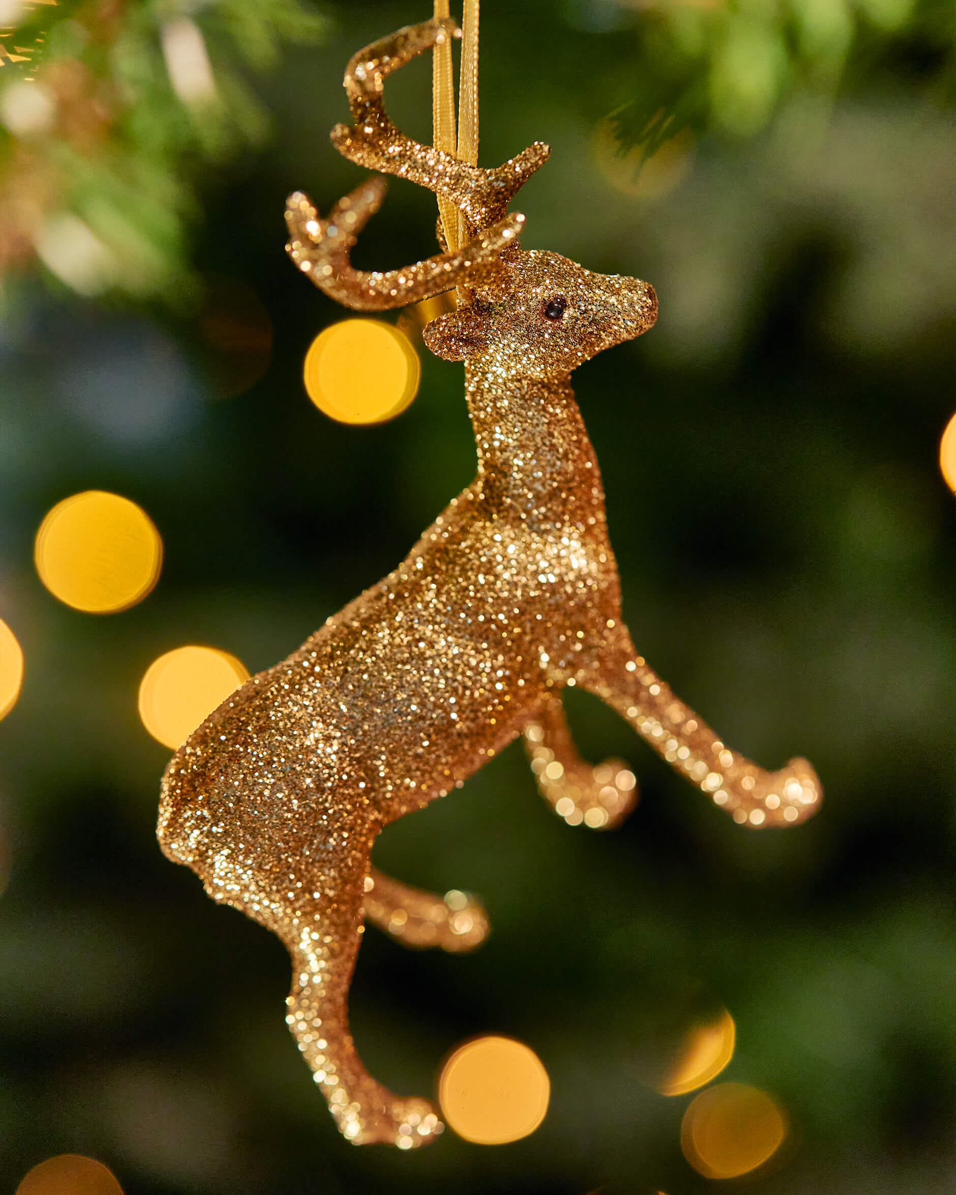 Gladys-kuusenkoriste, poro kulta